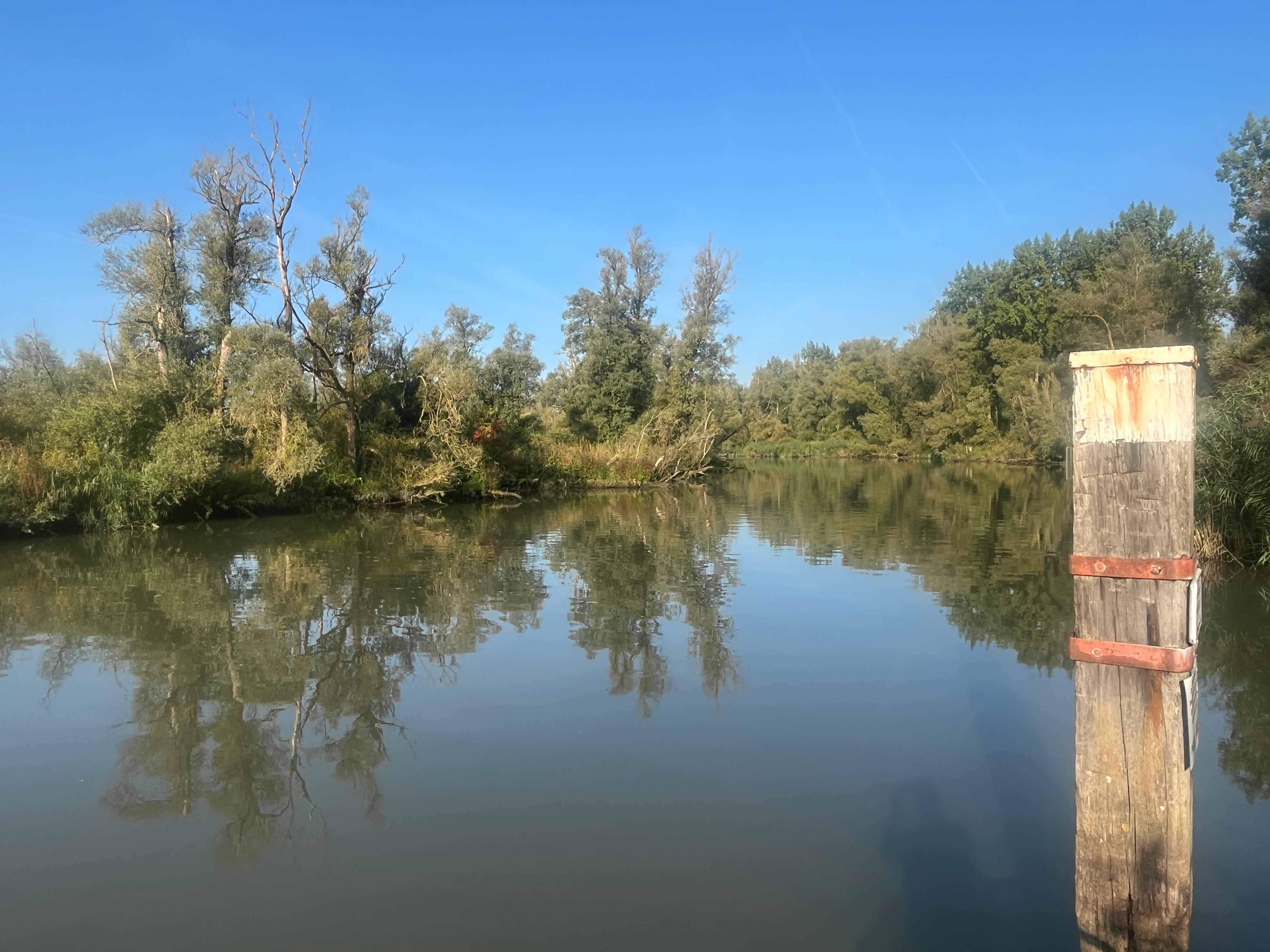 The Biesbosch. View of the river from the garden of the hostel