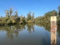 The Biesbosch. View of the river from the garden of the hostel