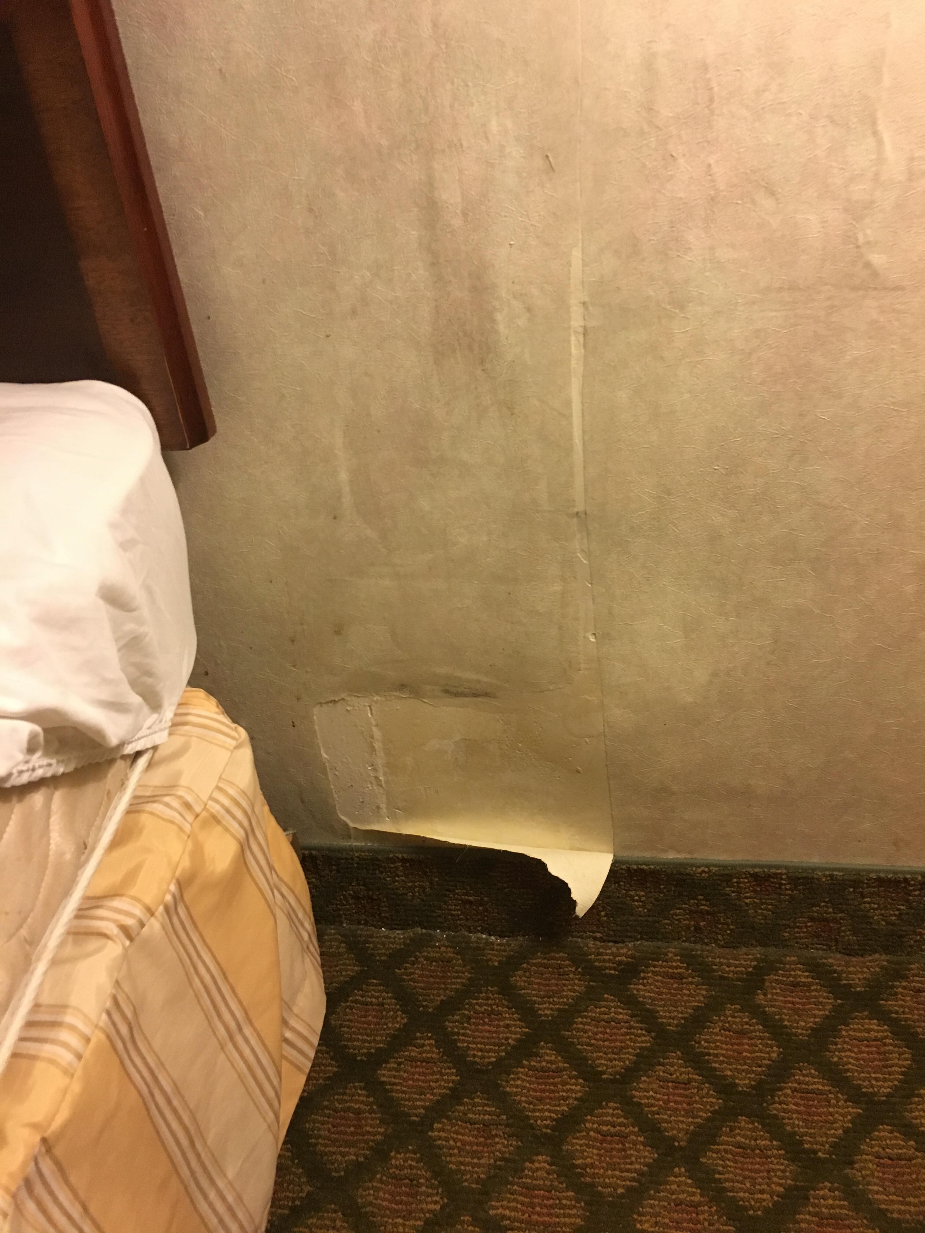 The bed