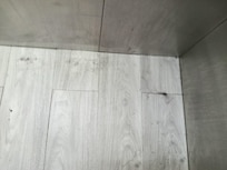 Stains and a clump of hair in the elevator