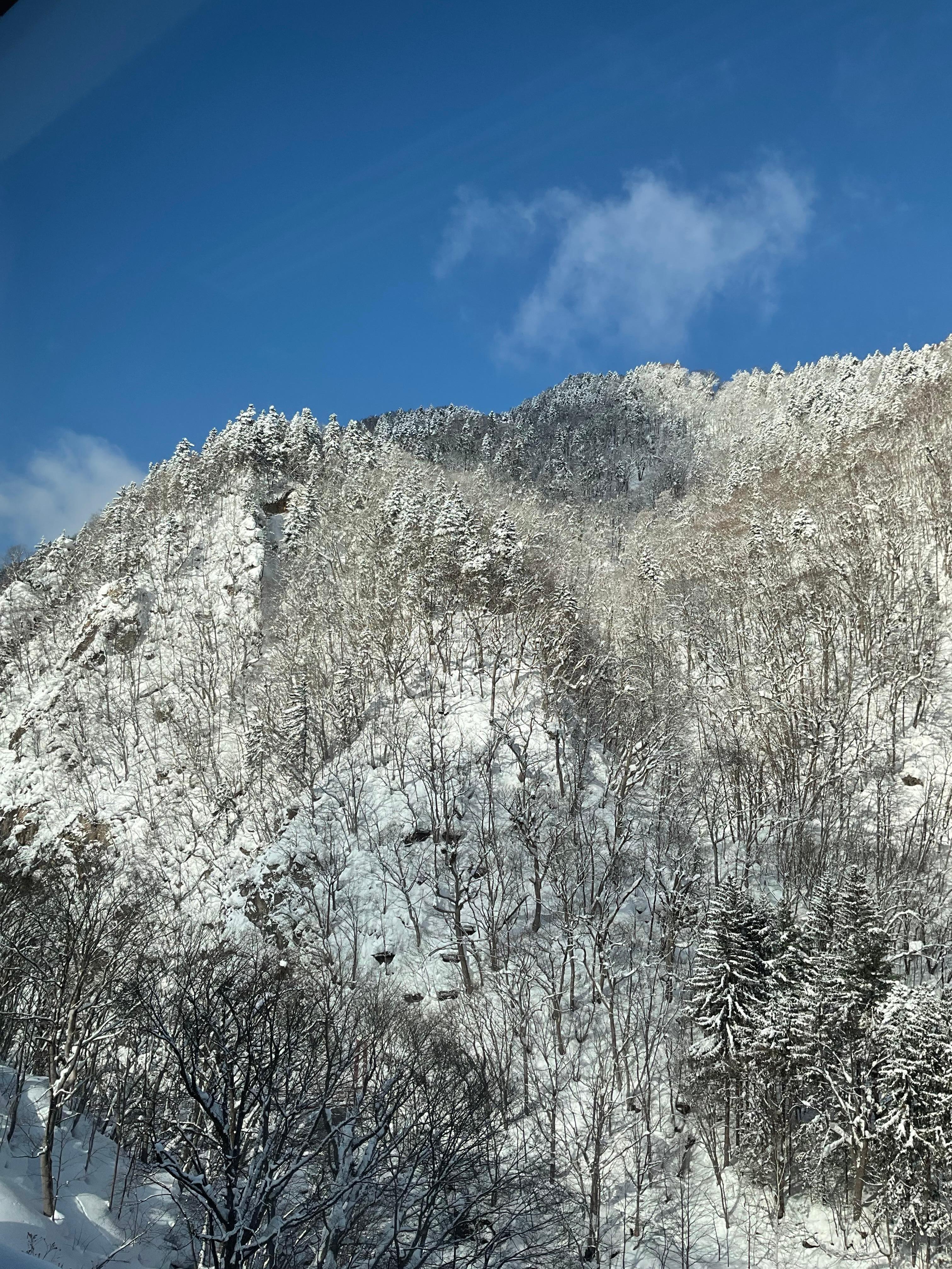 窓からの雄大な雪山