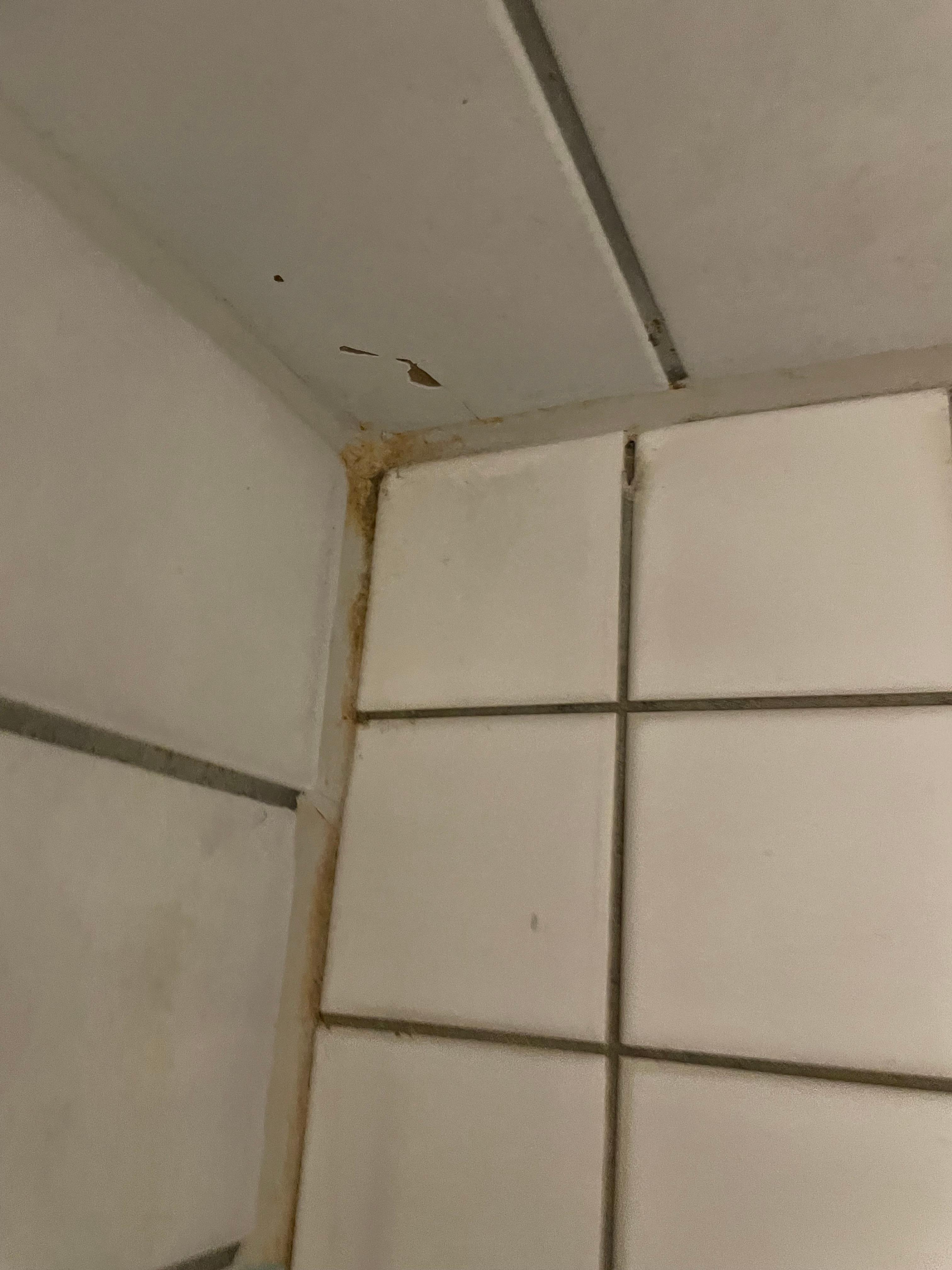 Mold in bathroom