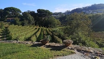 Vue de ma suite N°6