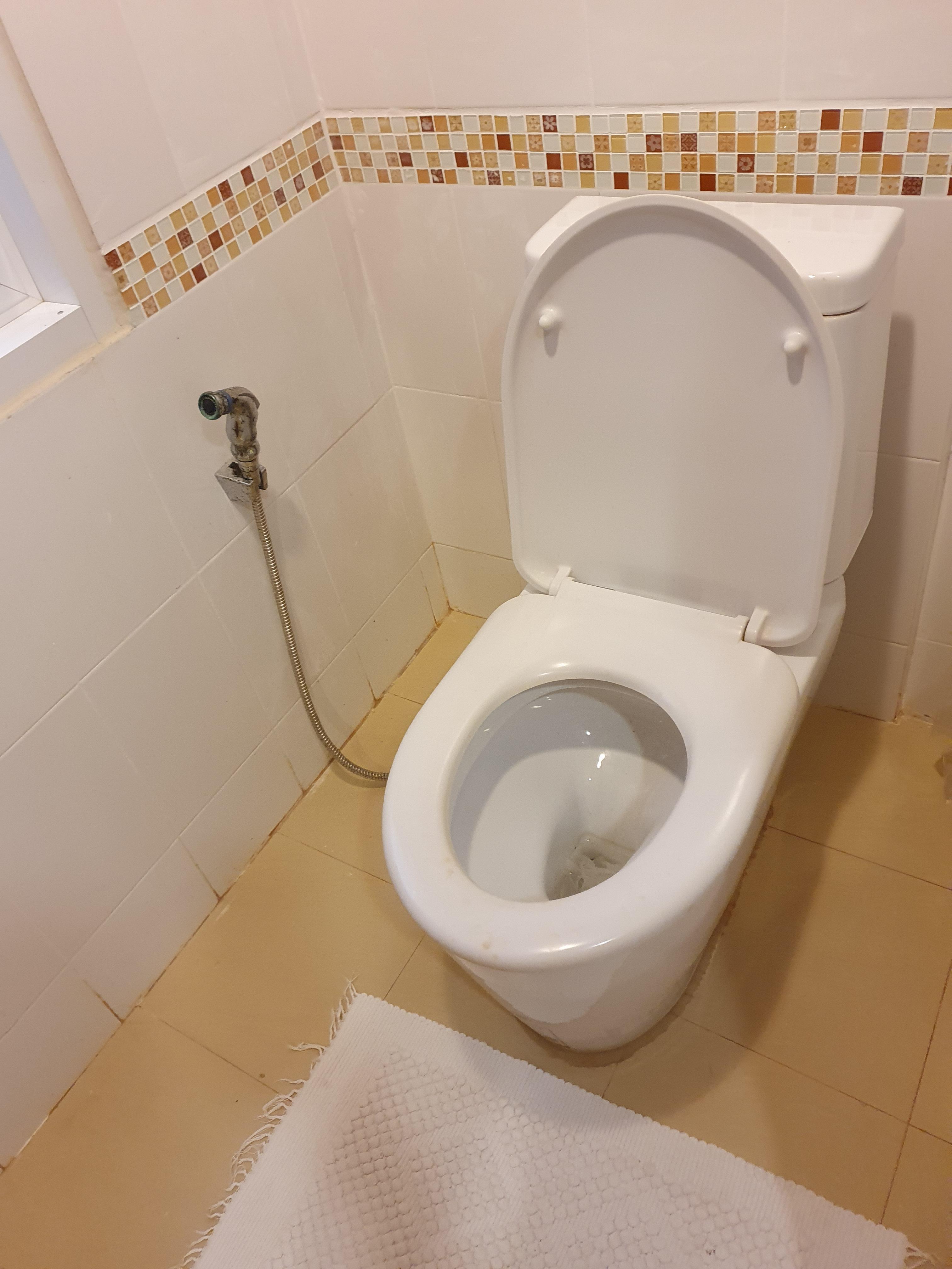 Toilet