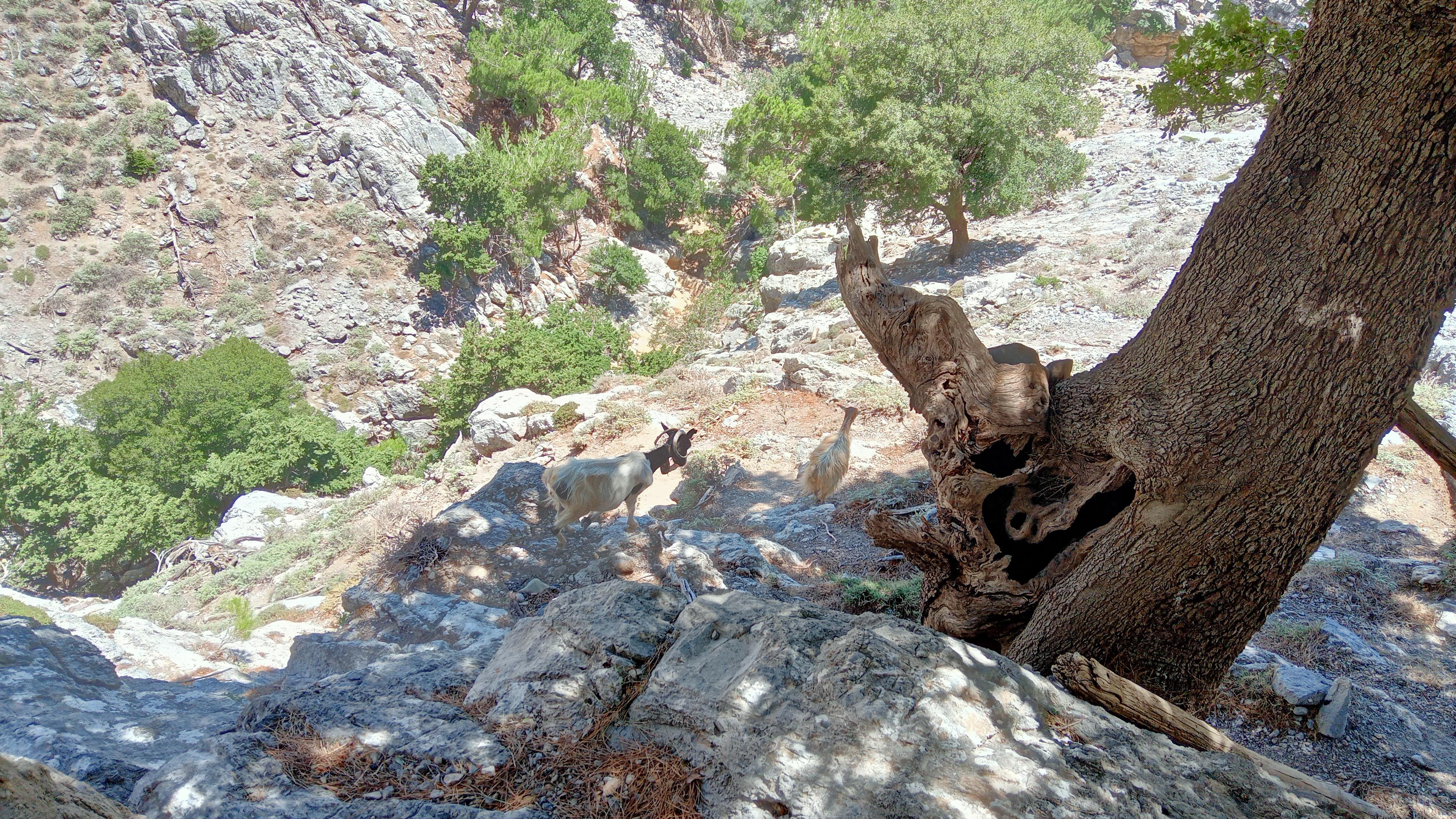 Gorges de Rouvas