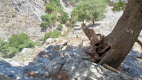 Gorges de Rouvas