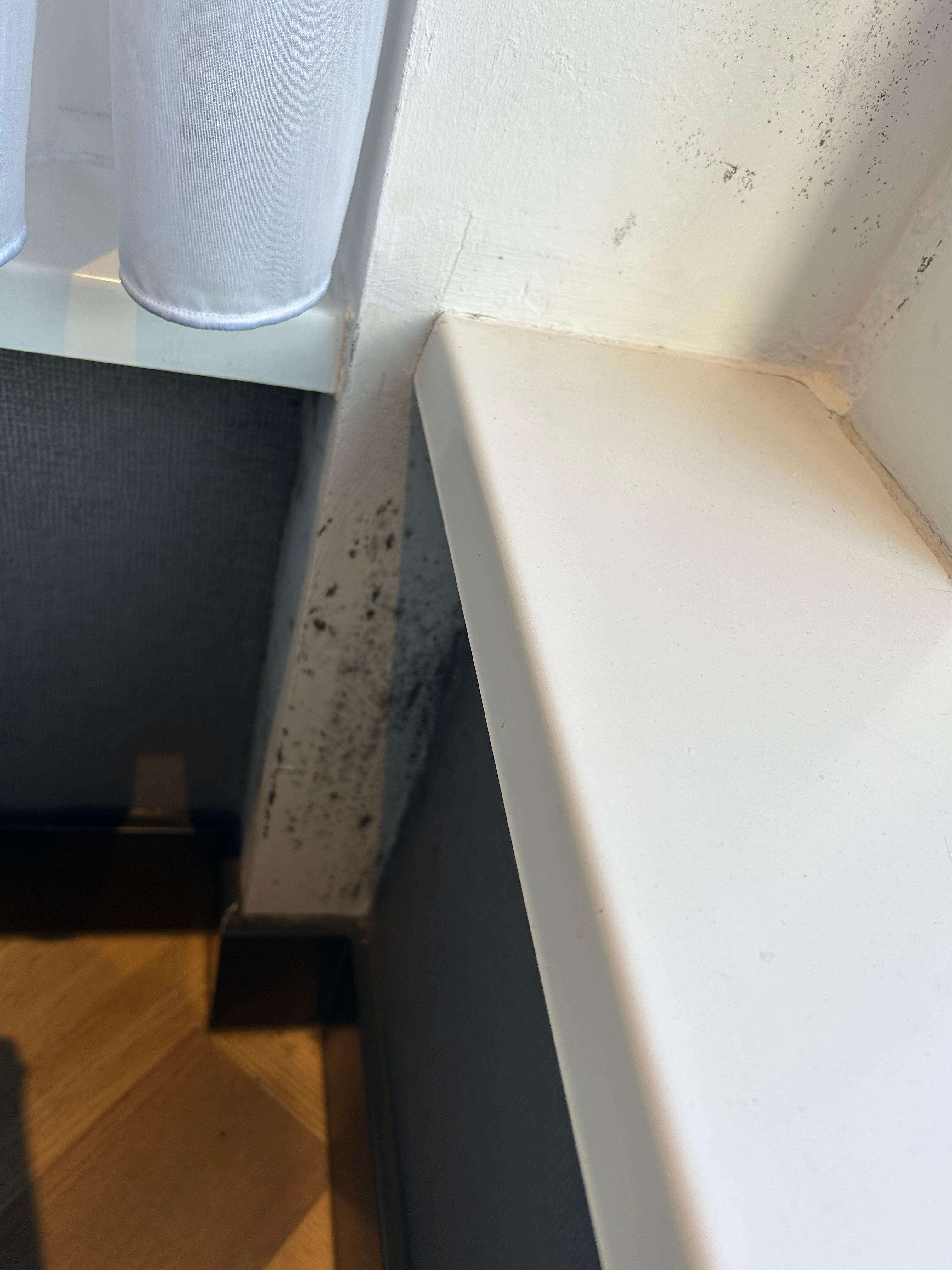 This area of mould had been covered by a chair- chair was removed for the image.