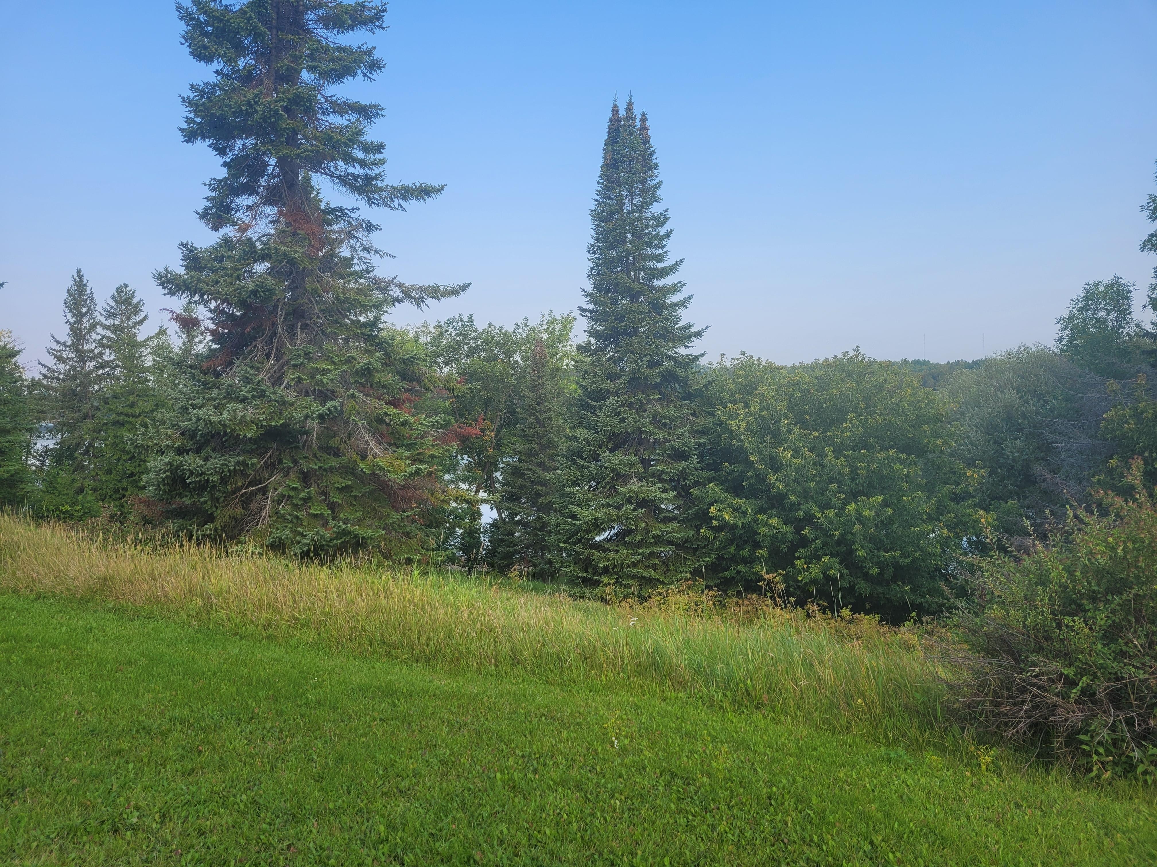 Back yard. "view of the river"