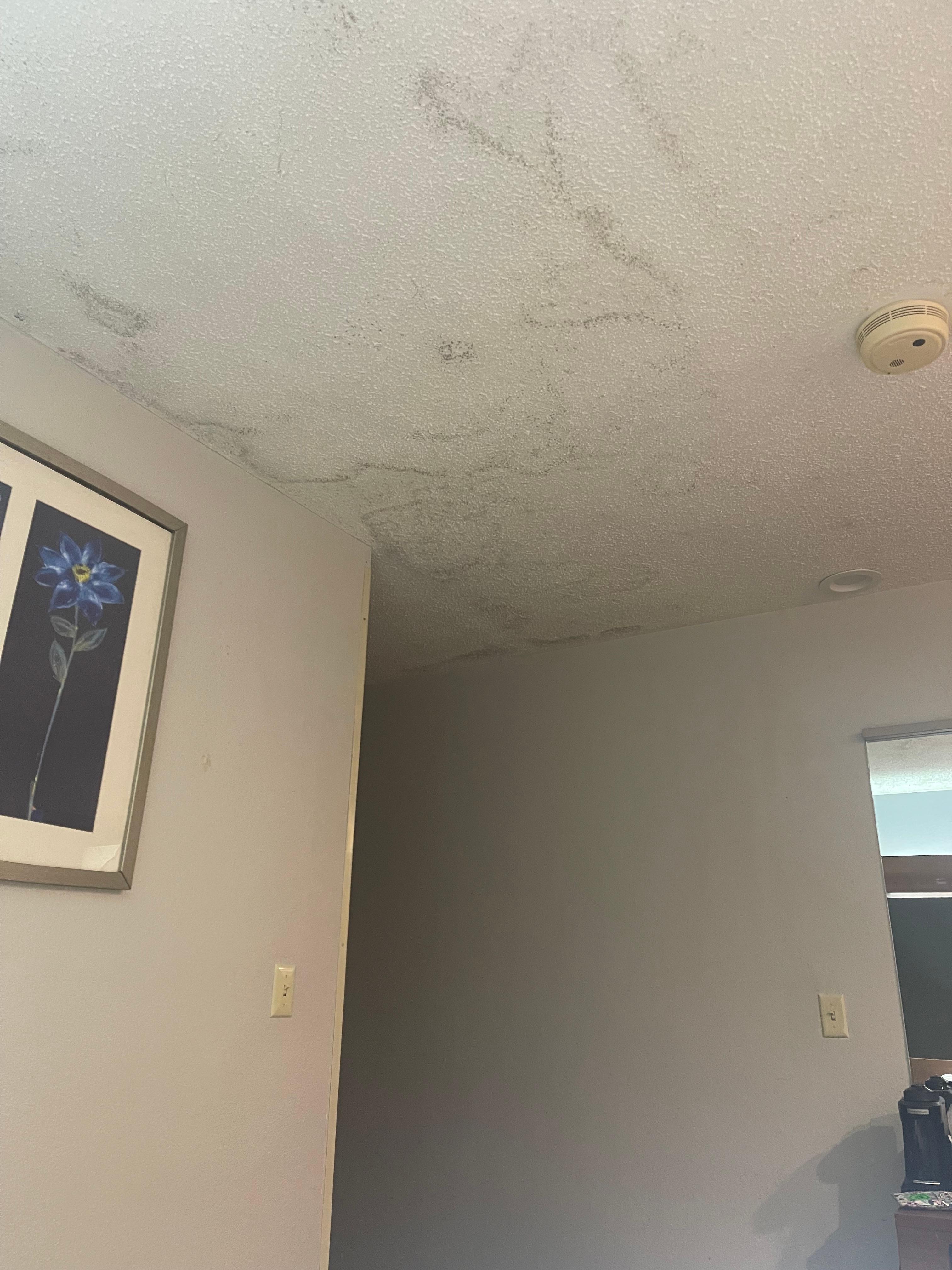 The ceiling