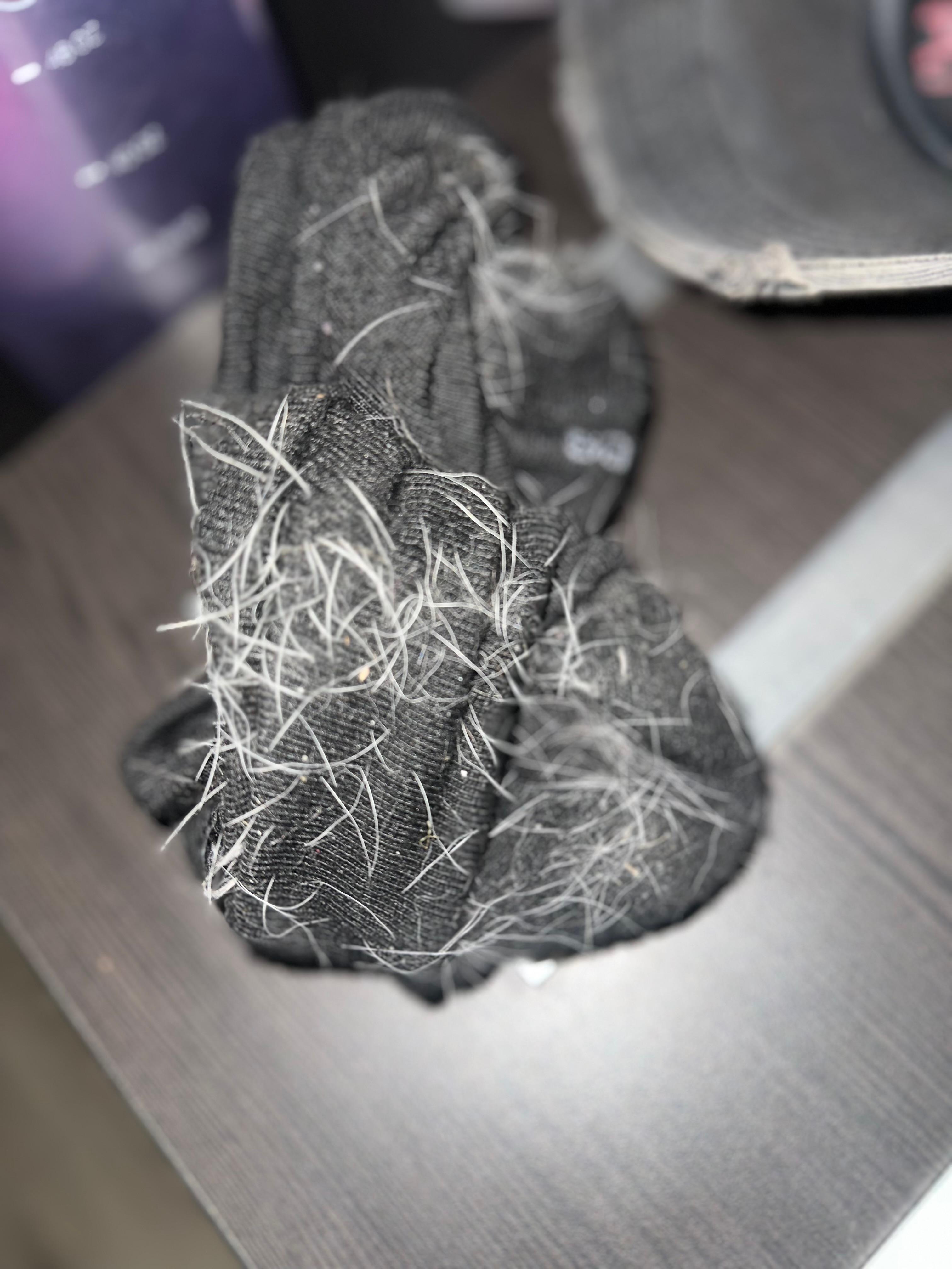 Hair on socks from walking across floor. 