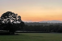 Sunrise at Llanerch Vineyard