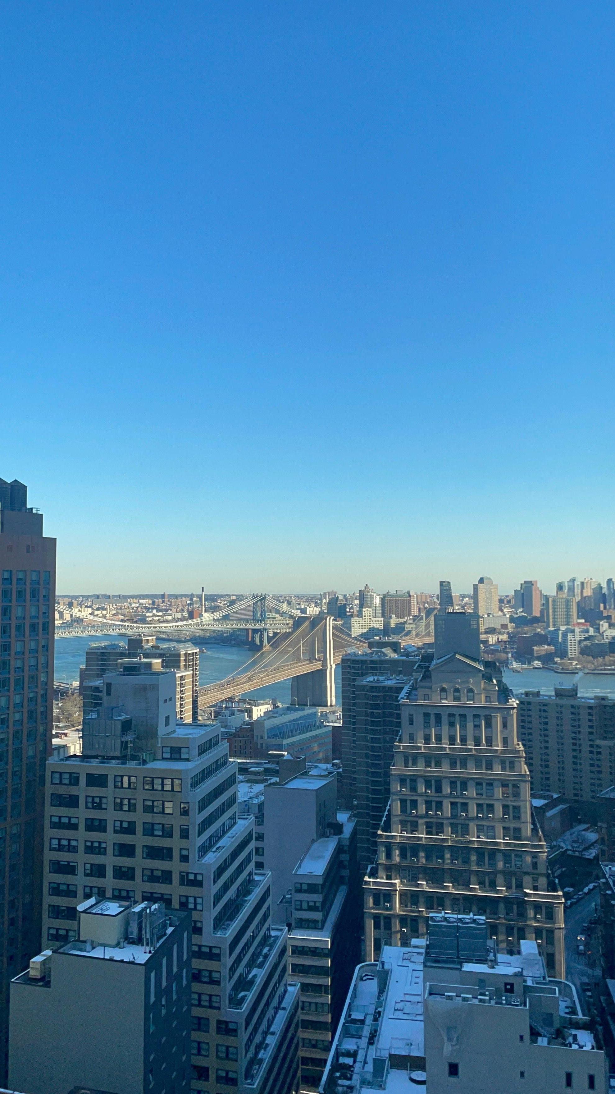 Beautiful views of Manhattan & Brooklyn (pic # 1)