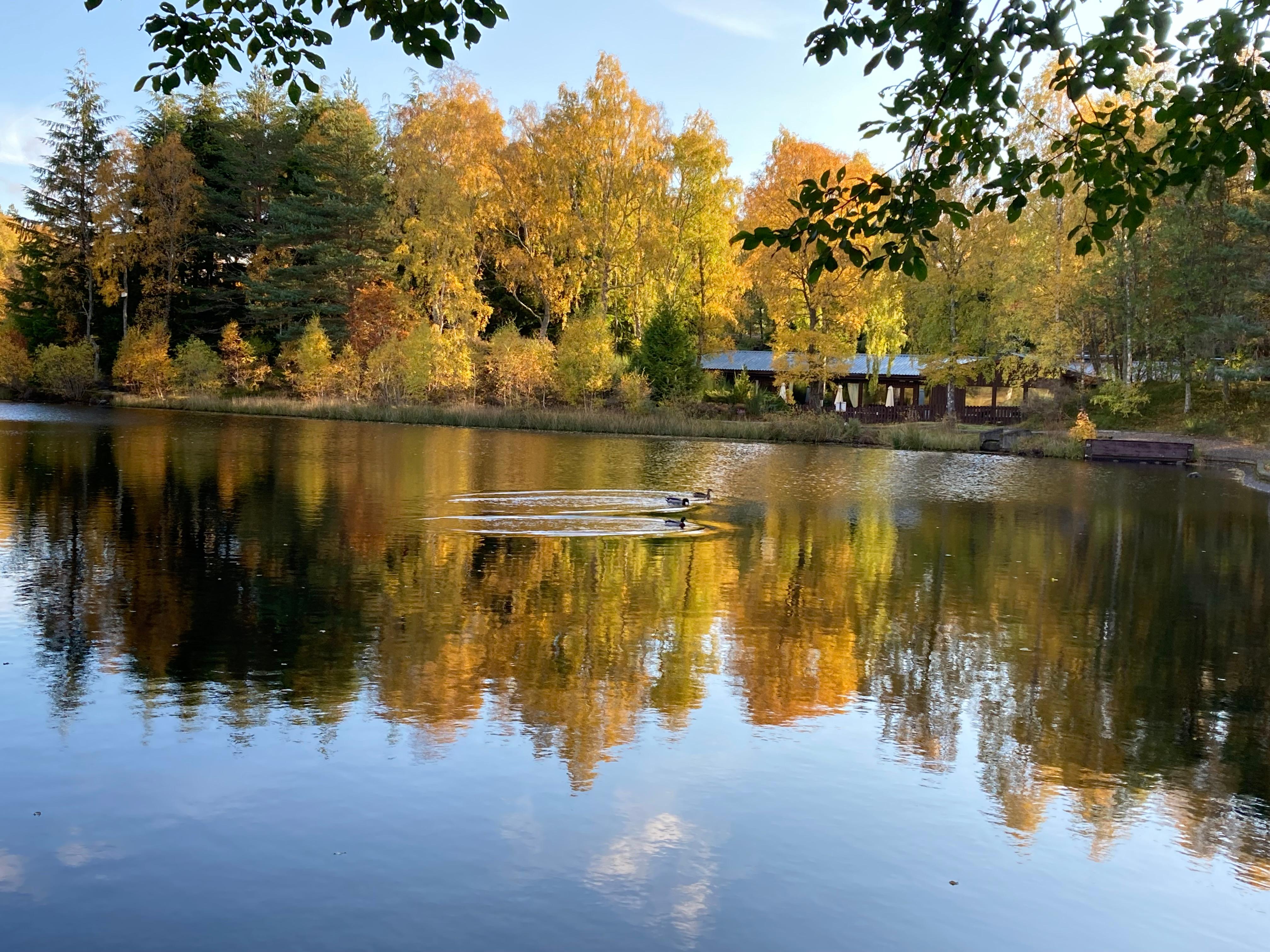 The loch which the lodges are situated around 