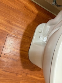 Dead bugs on the floor