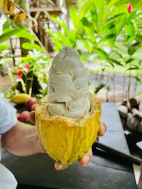 Why not eat cacao just like that?!