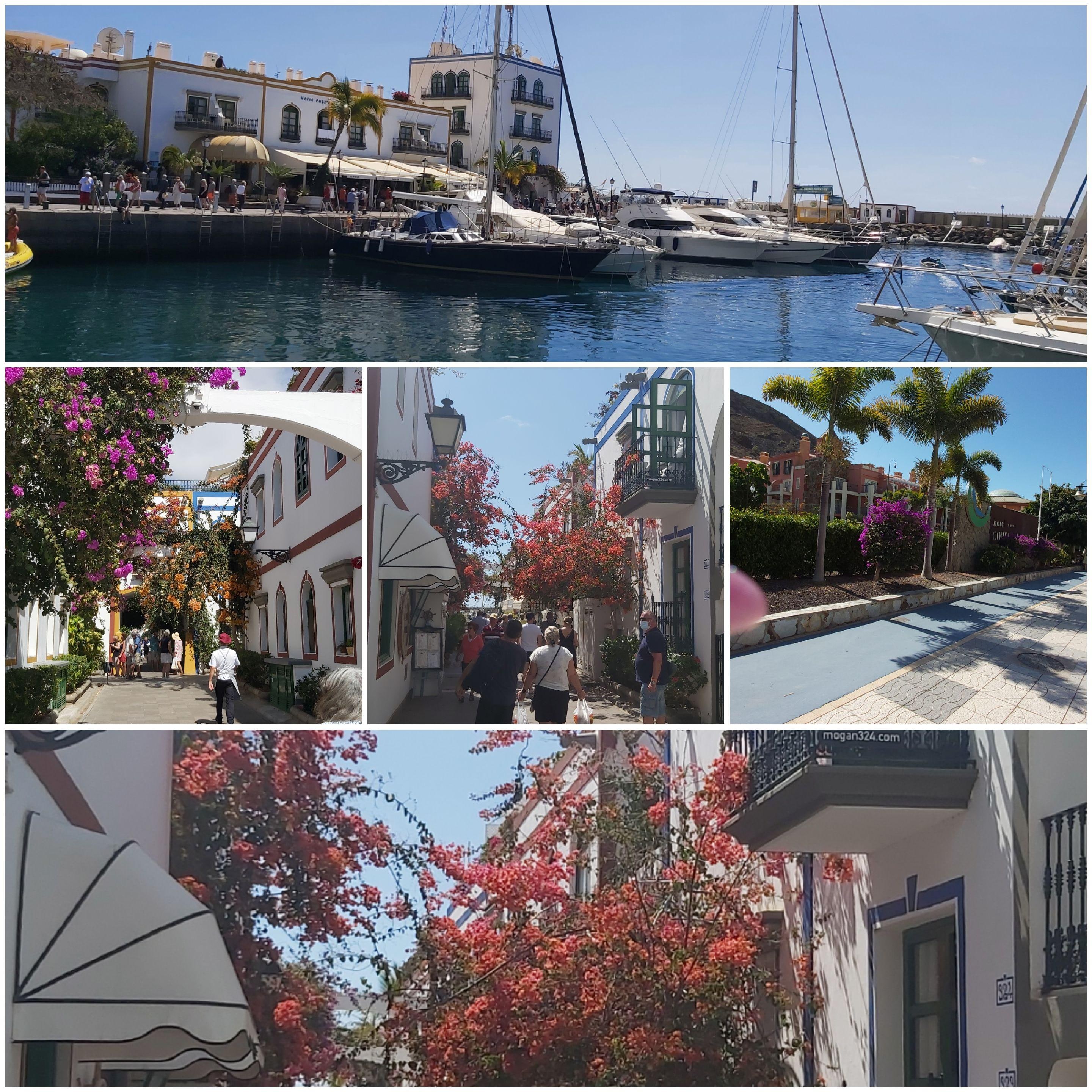 Utsikt från balkongen. 