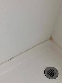Disgusting shower mold /mildew.
