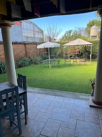The garden