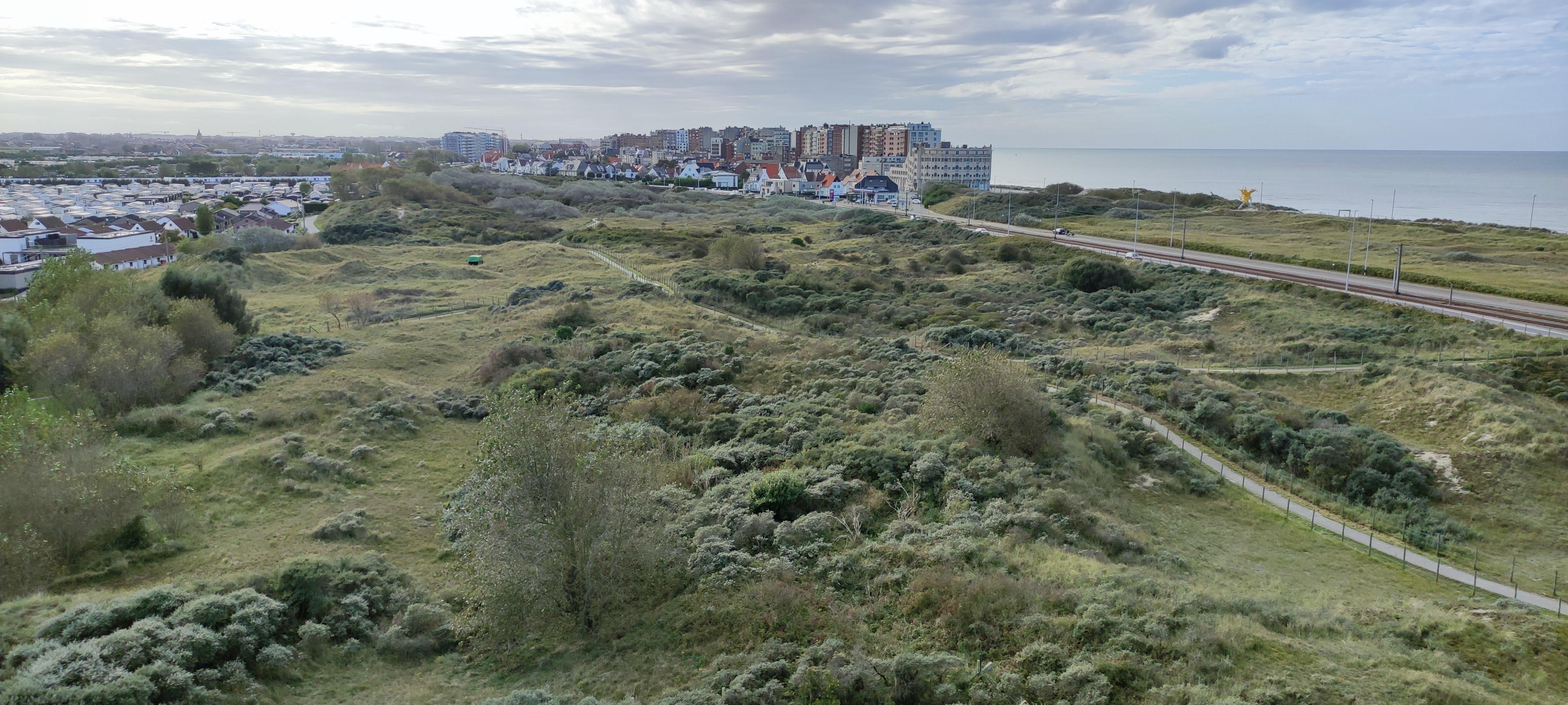 Vue panoramique.