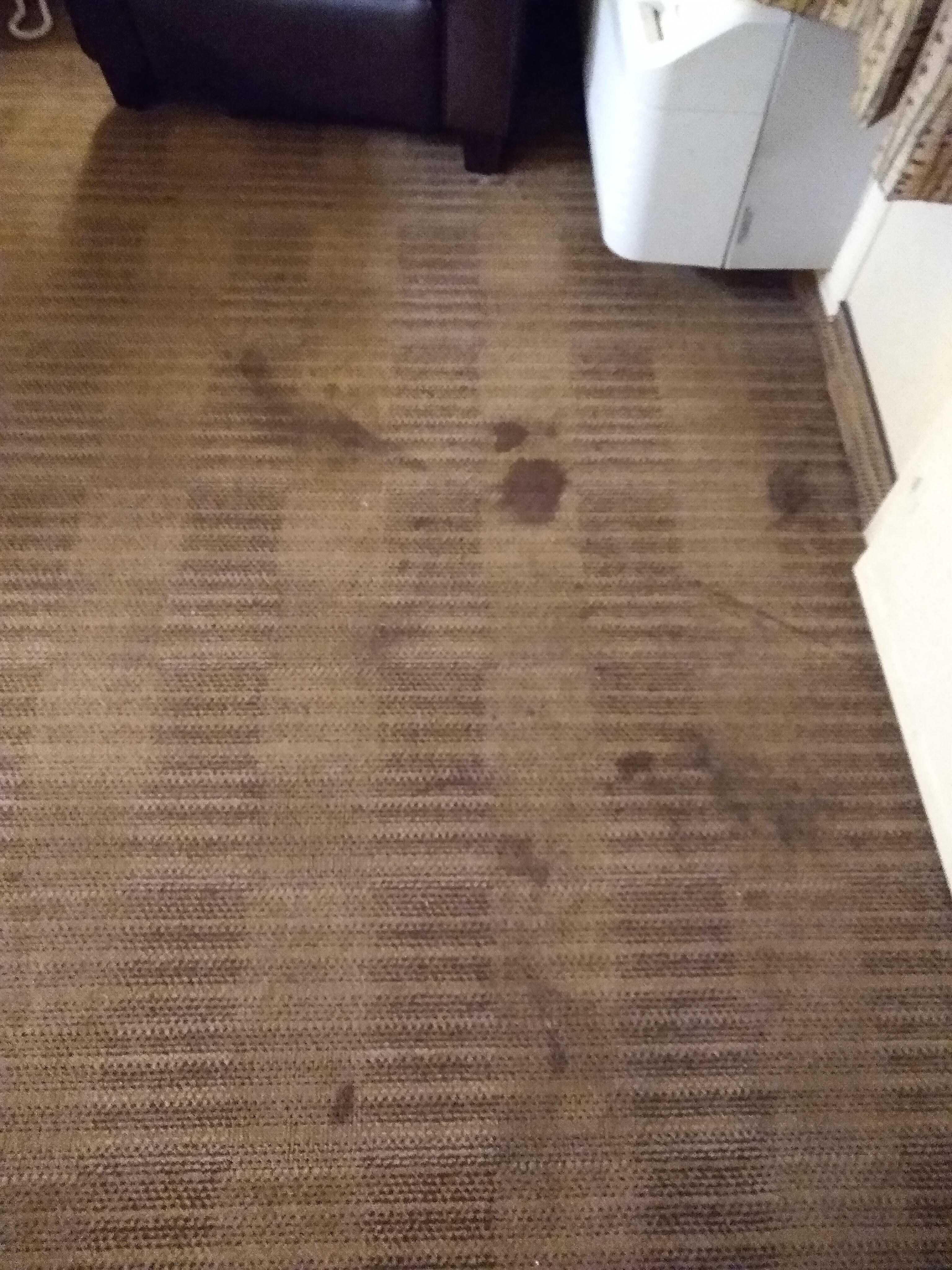 The stains in the first room