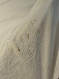 Crusted stuff on sheets.