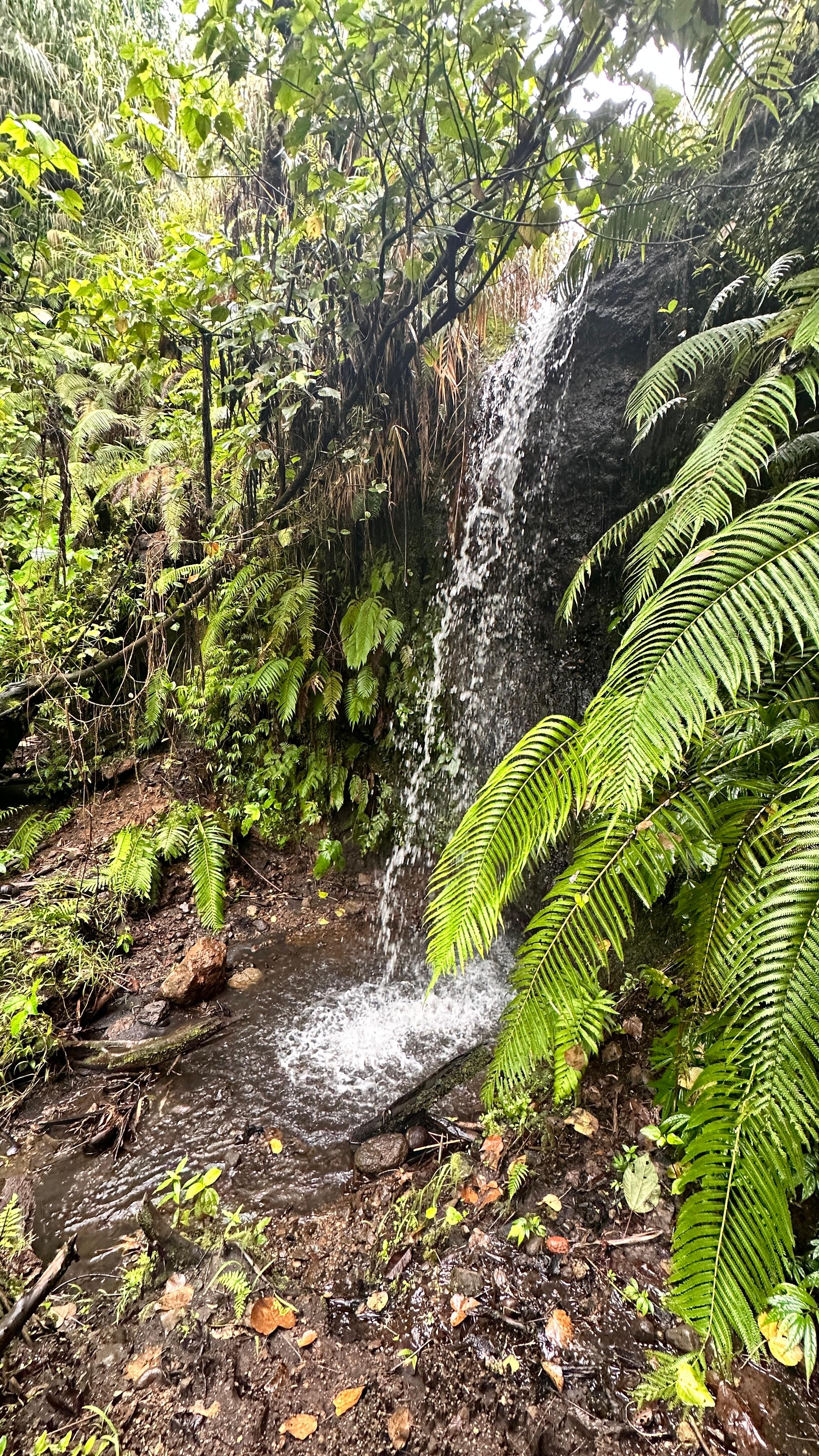 Nearby Waterfall