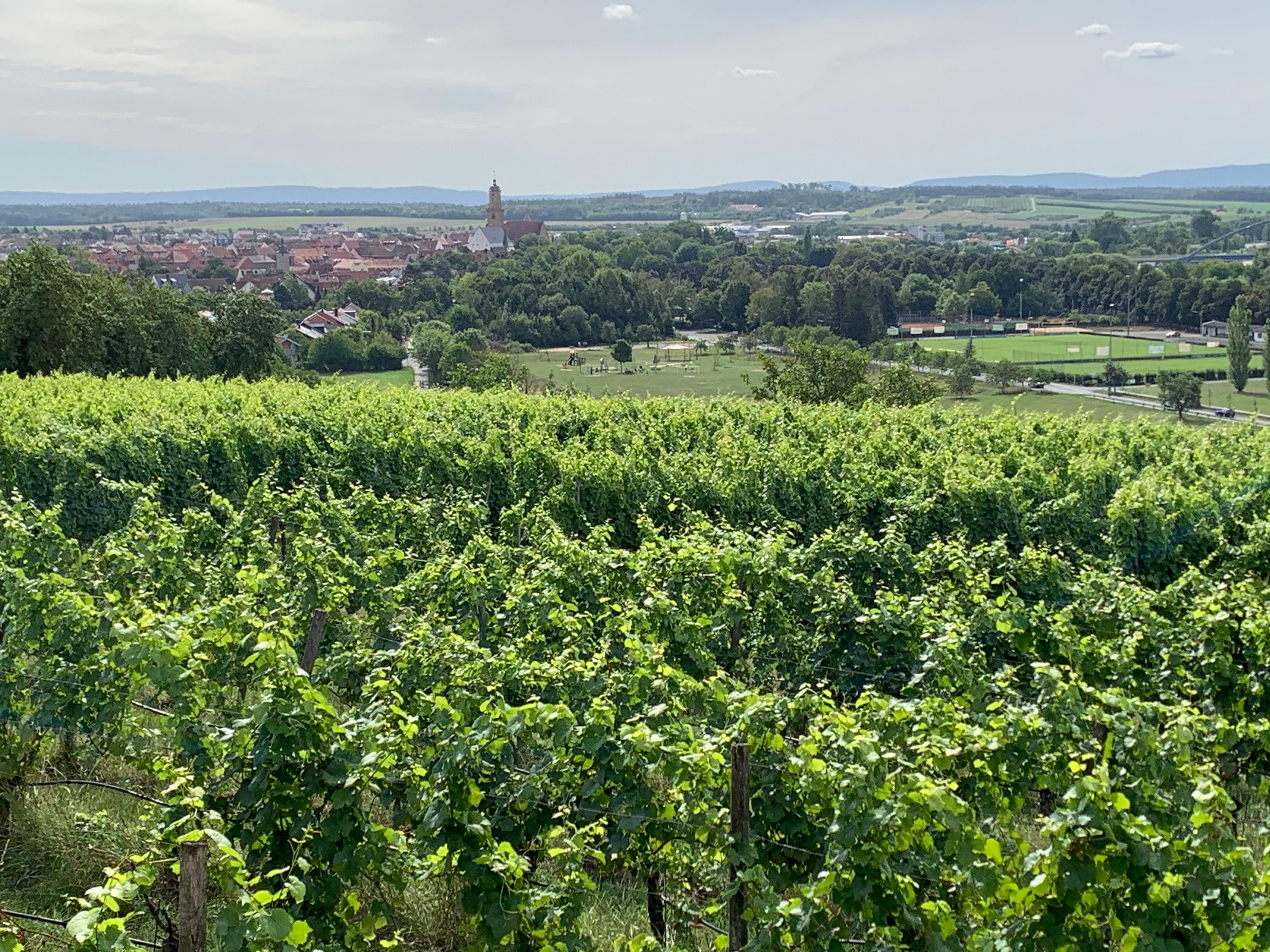 Blick von Marienkapelle