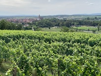 Blick von Marienkapelle