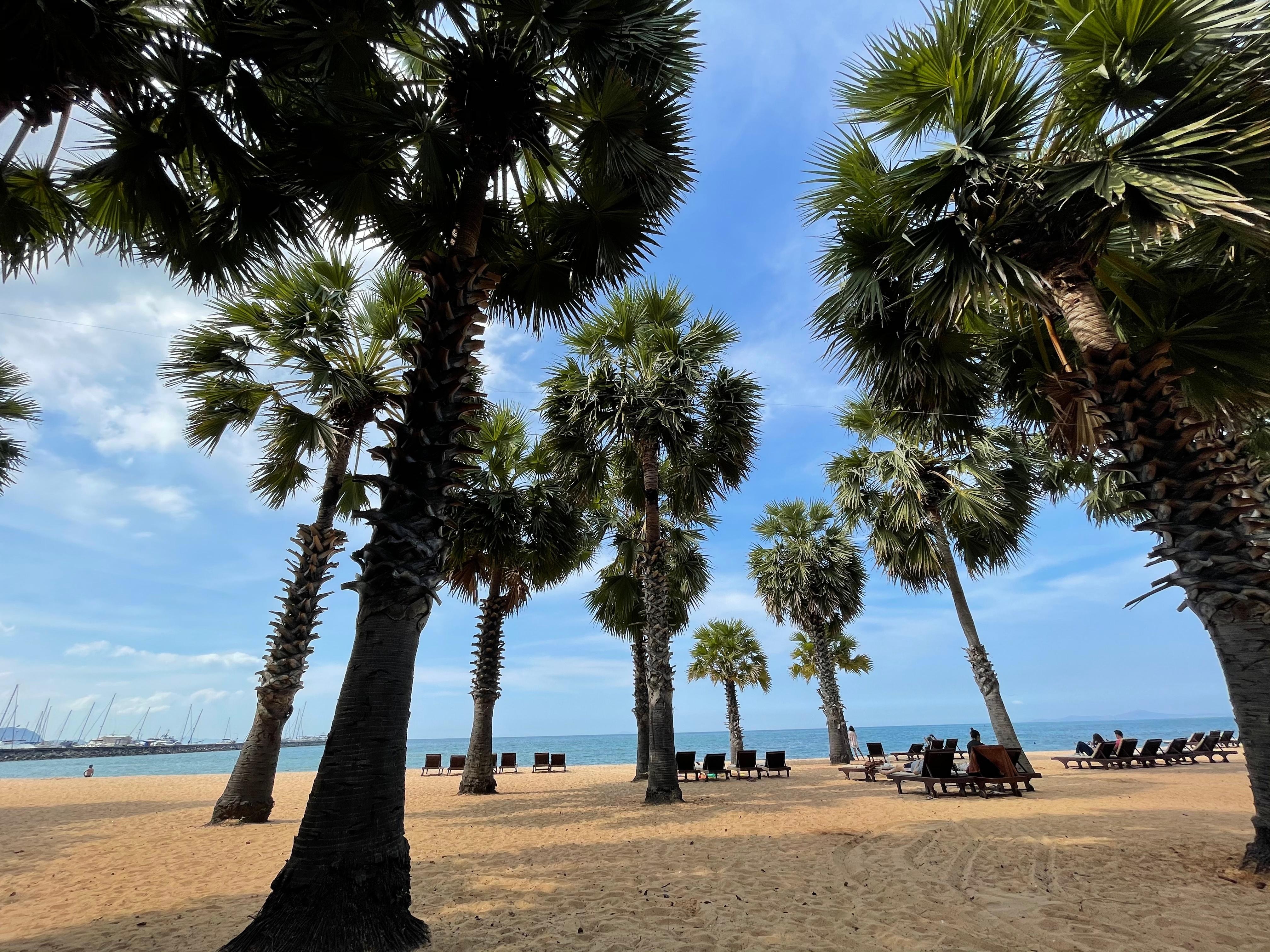 プライベートビーチ