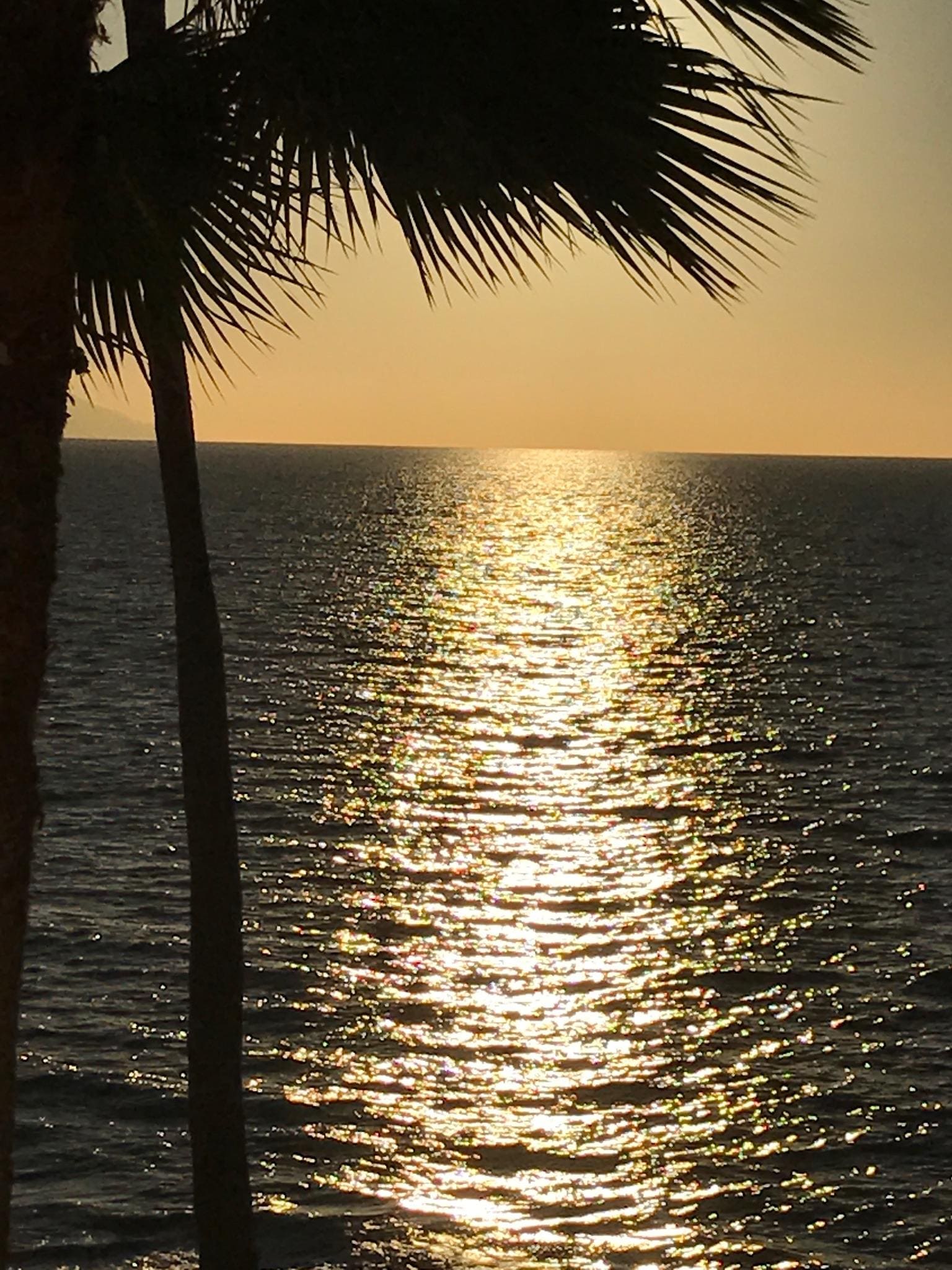 The view from my balcony.