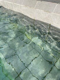 Piscine privative eau verte