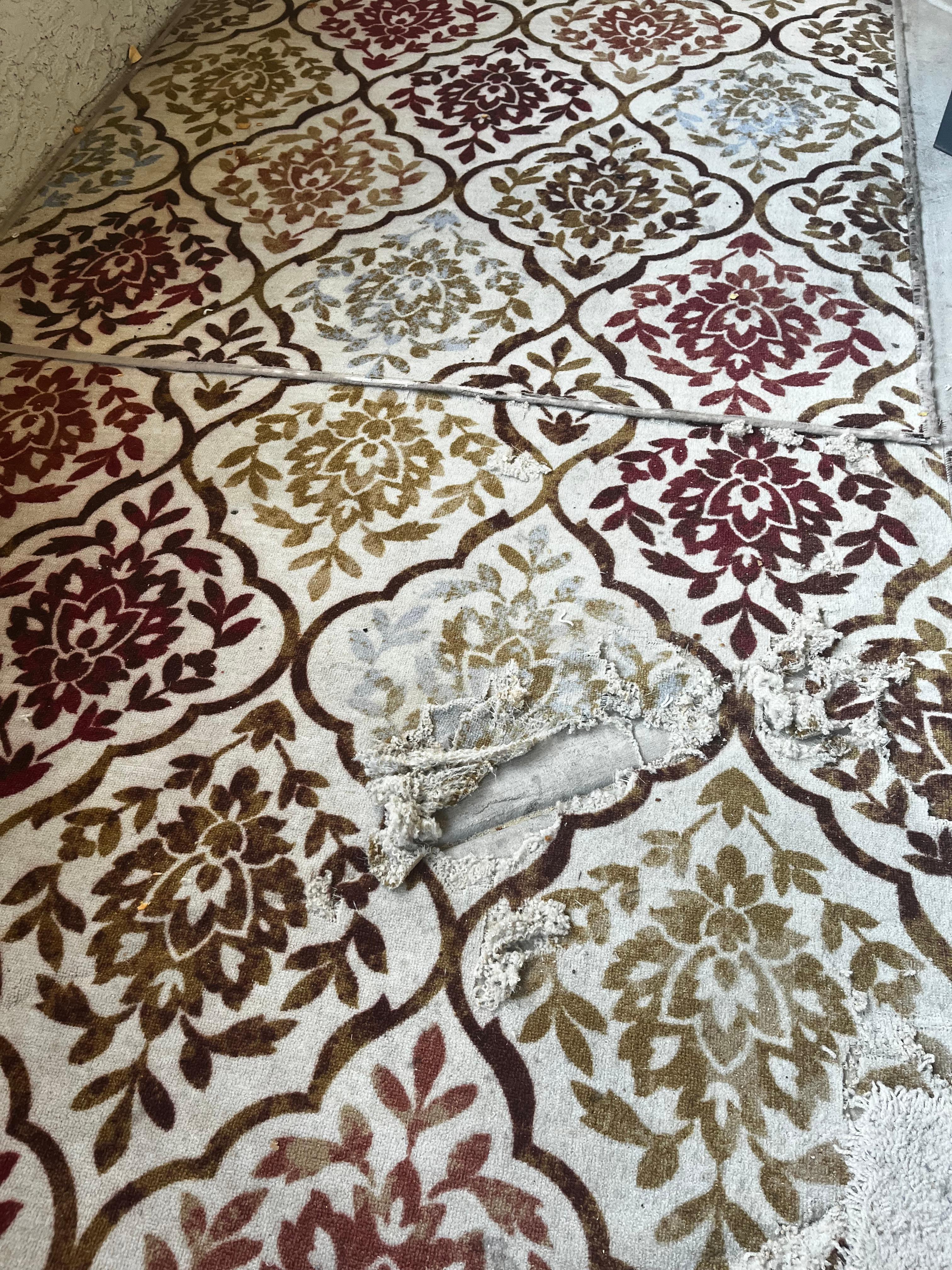 Ripped up rug in outdoor space