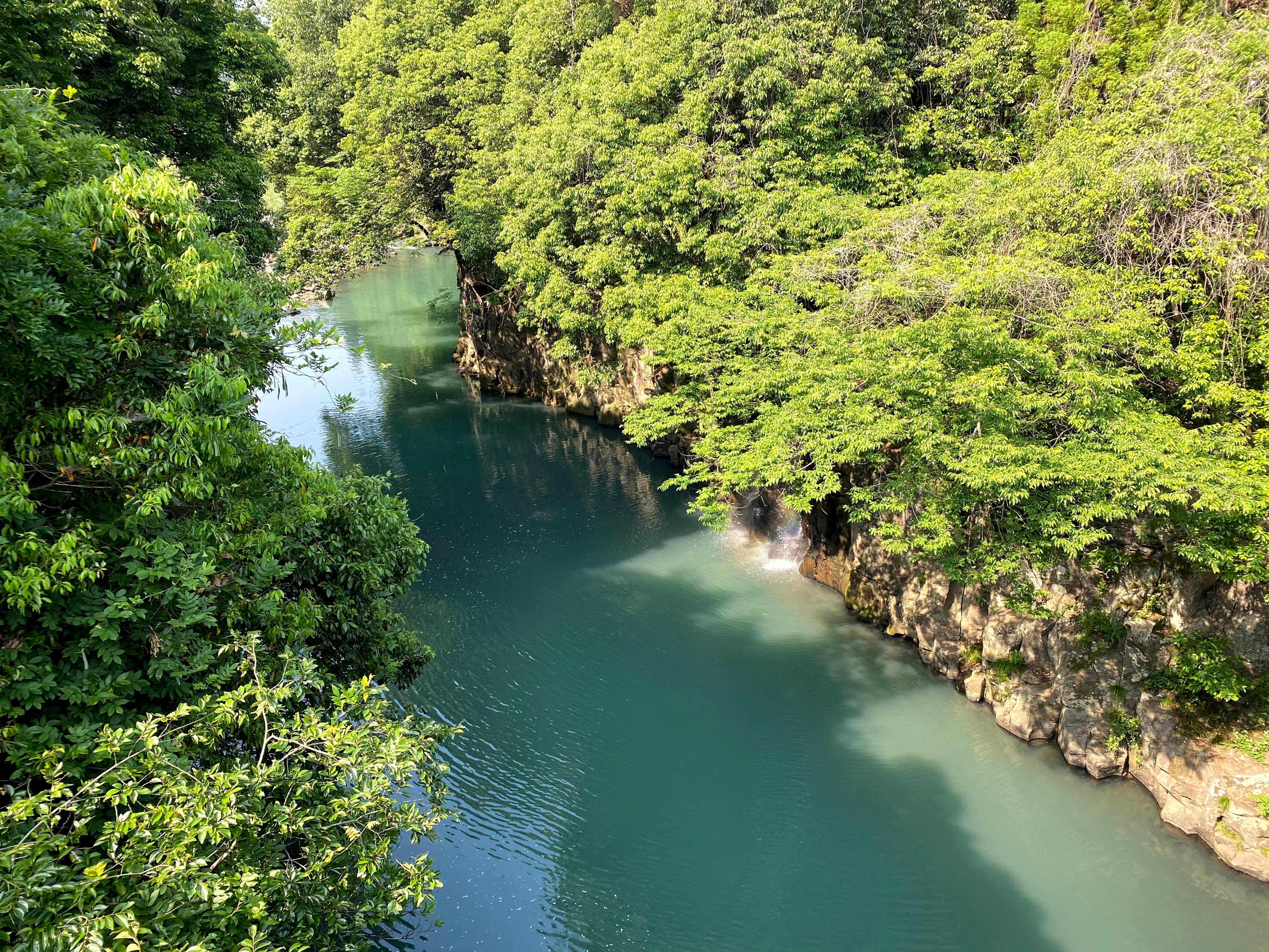 サイトの前を流れる川の少し上流。ここでの川遊びは最高です。