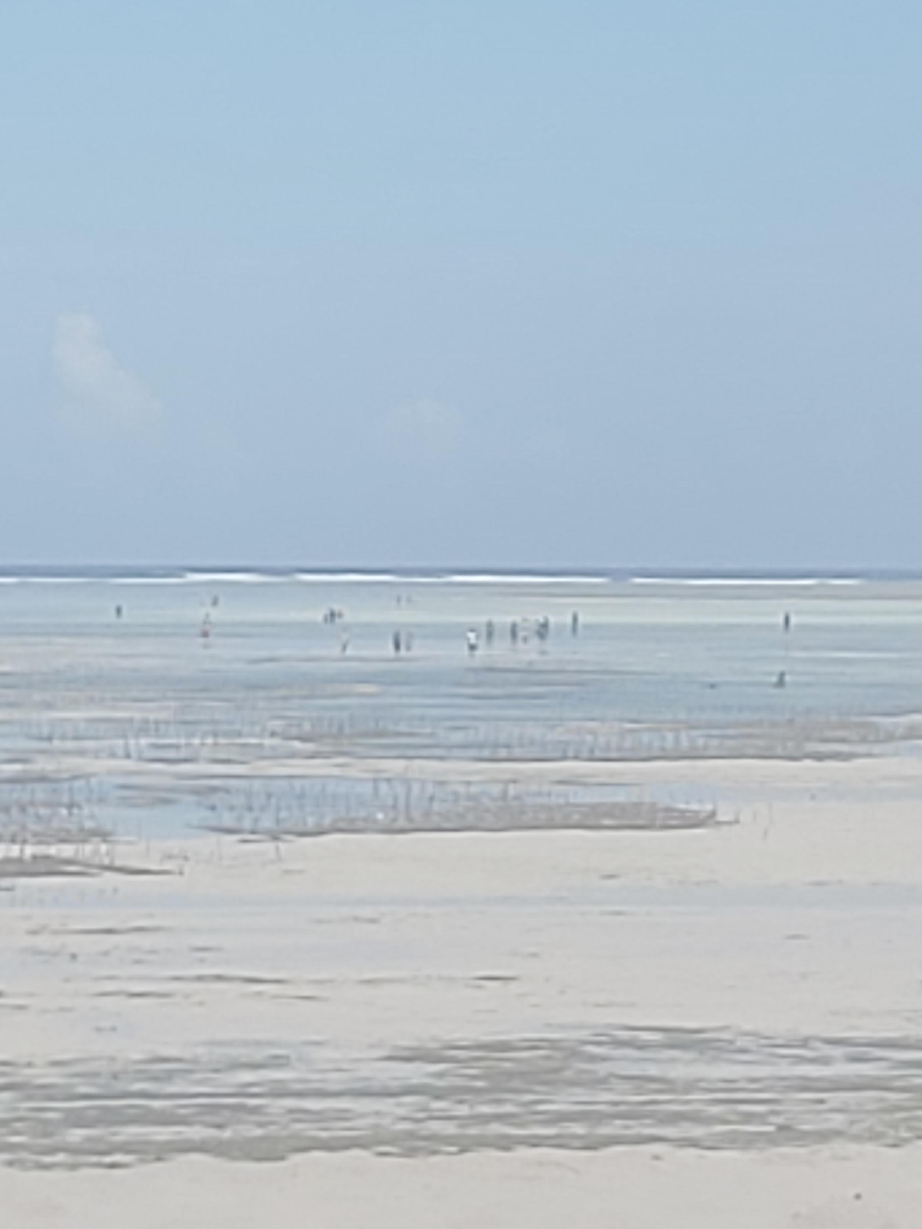 Beach at low tide