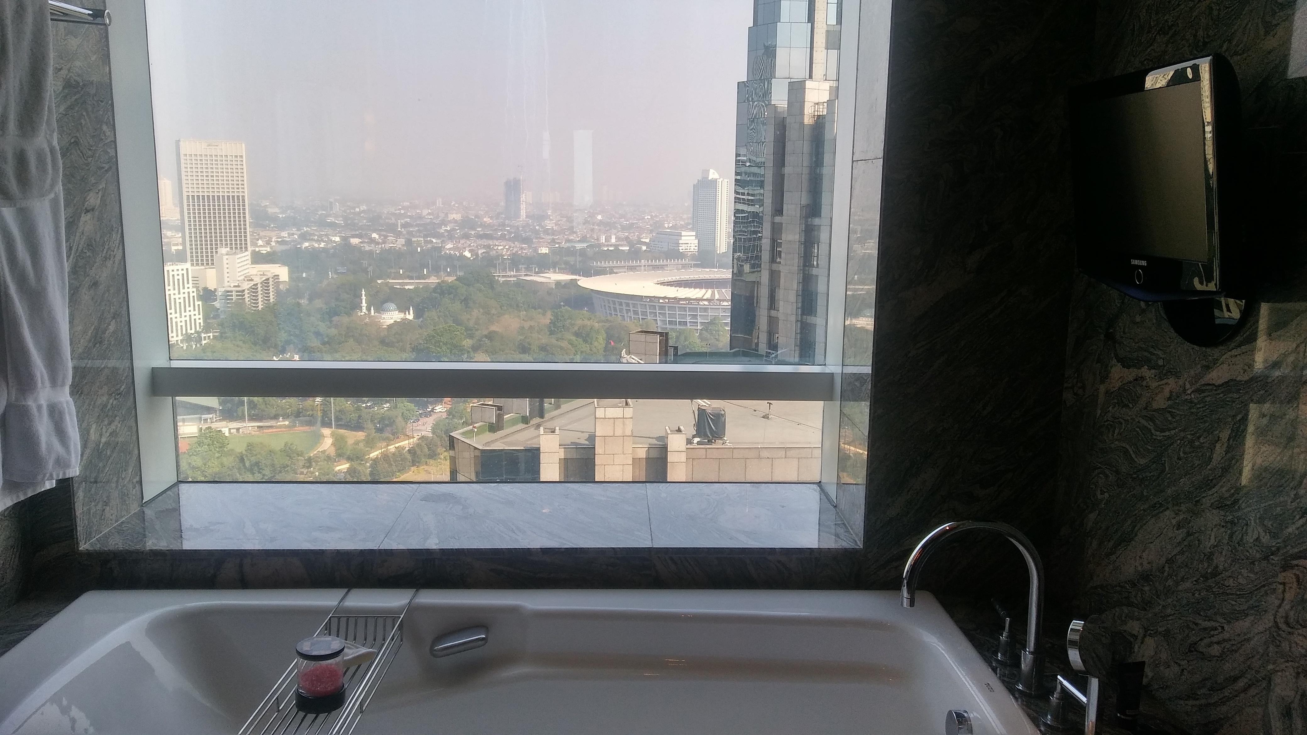 Bathtub with the view