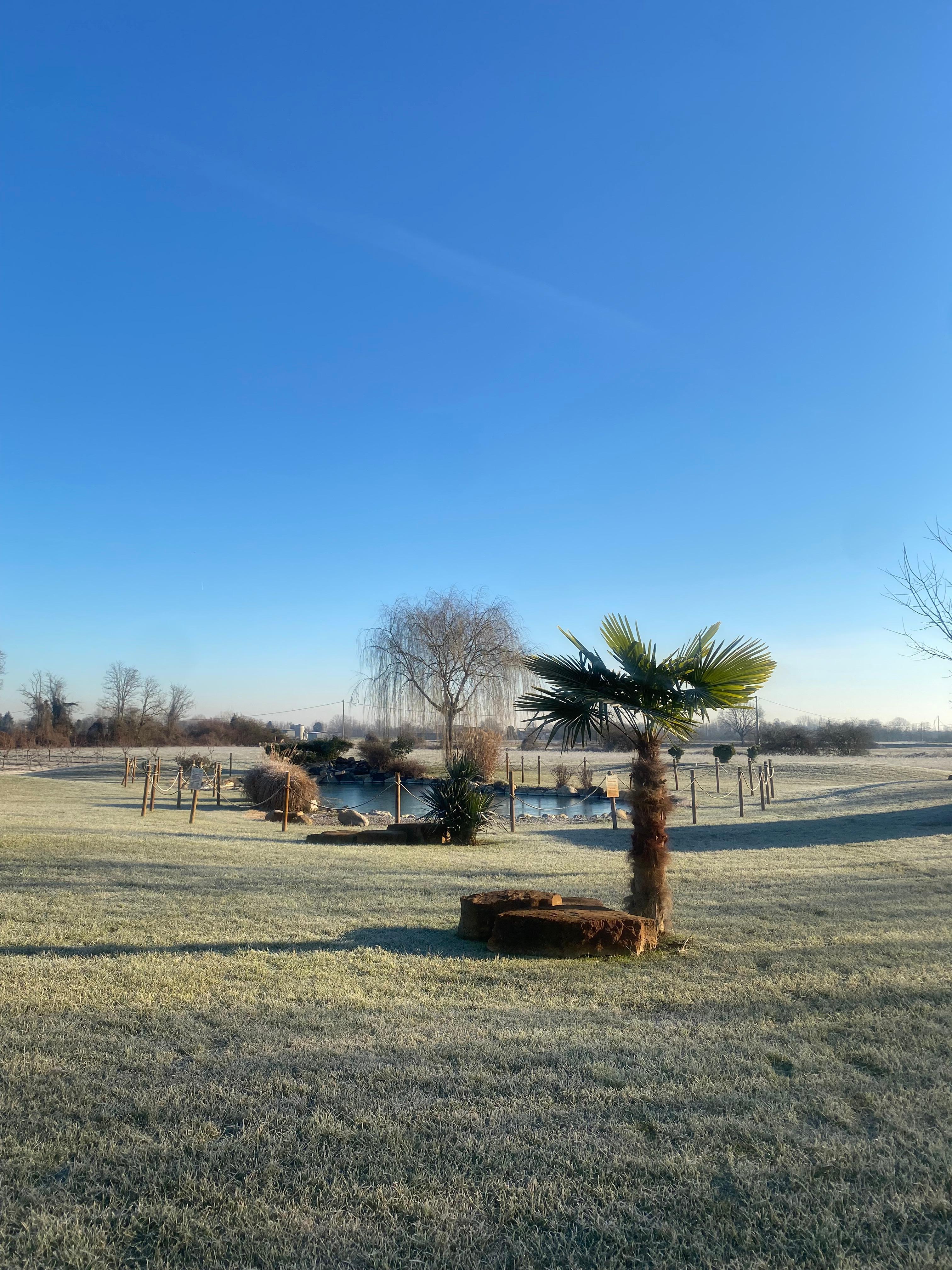 Parco magnifico anche in inverno