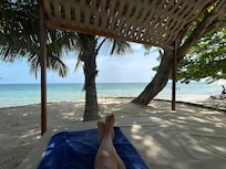 Chilling under the palm tree!🏝️