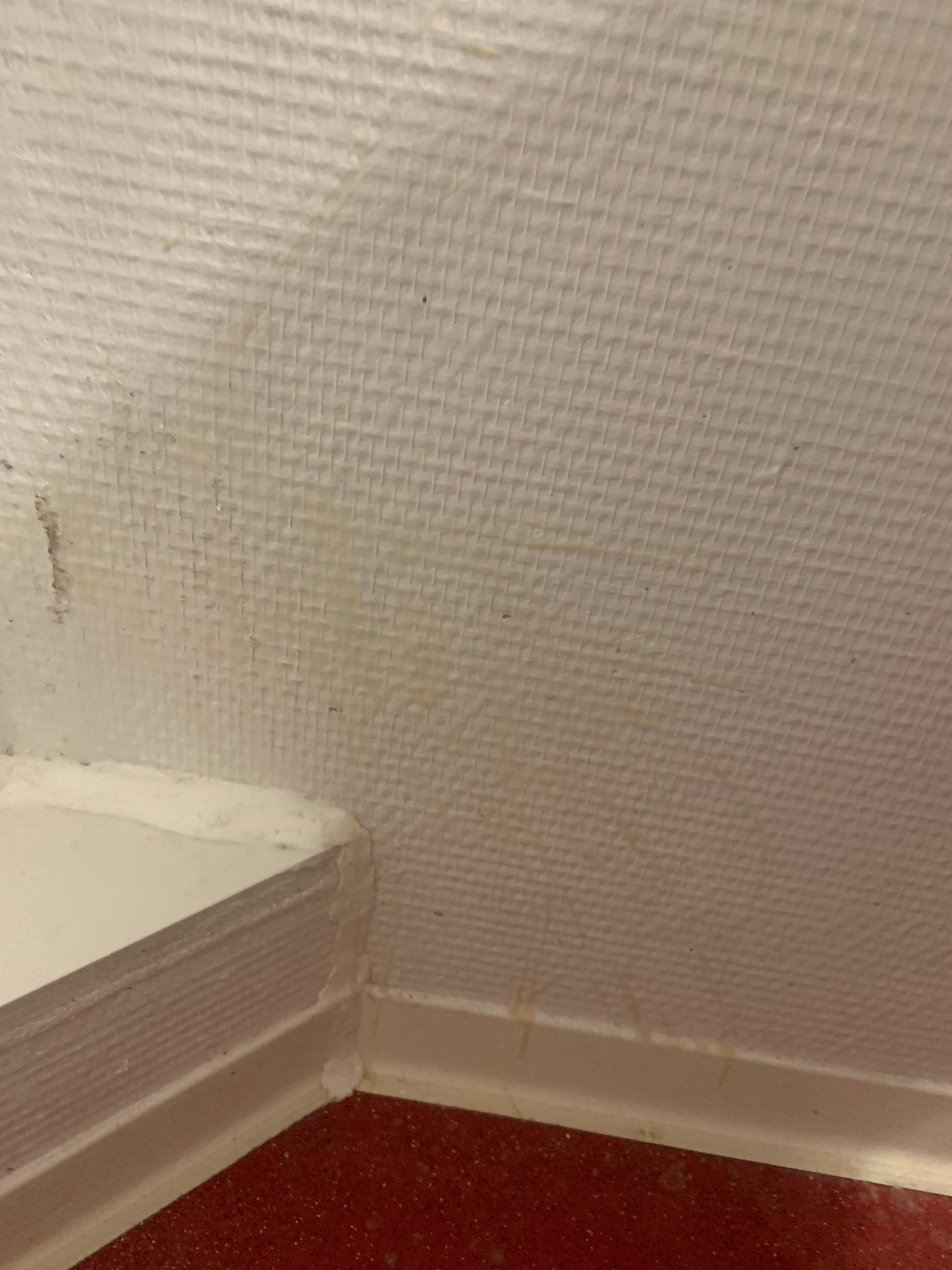 mur à côté des wc…