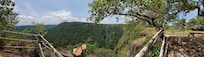 King Vulture Falls