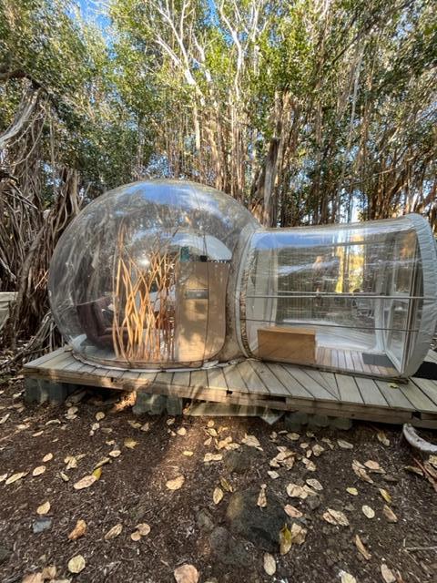 The Bayan Tree Bubble Lodge