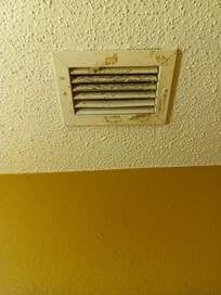 Bathroom vent that was nasty and didn't work.