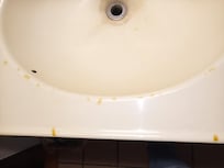 Cigarette burns on the countertop in a non-smoking room.