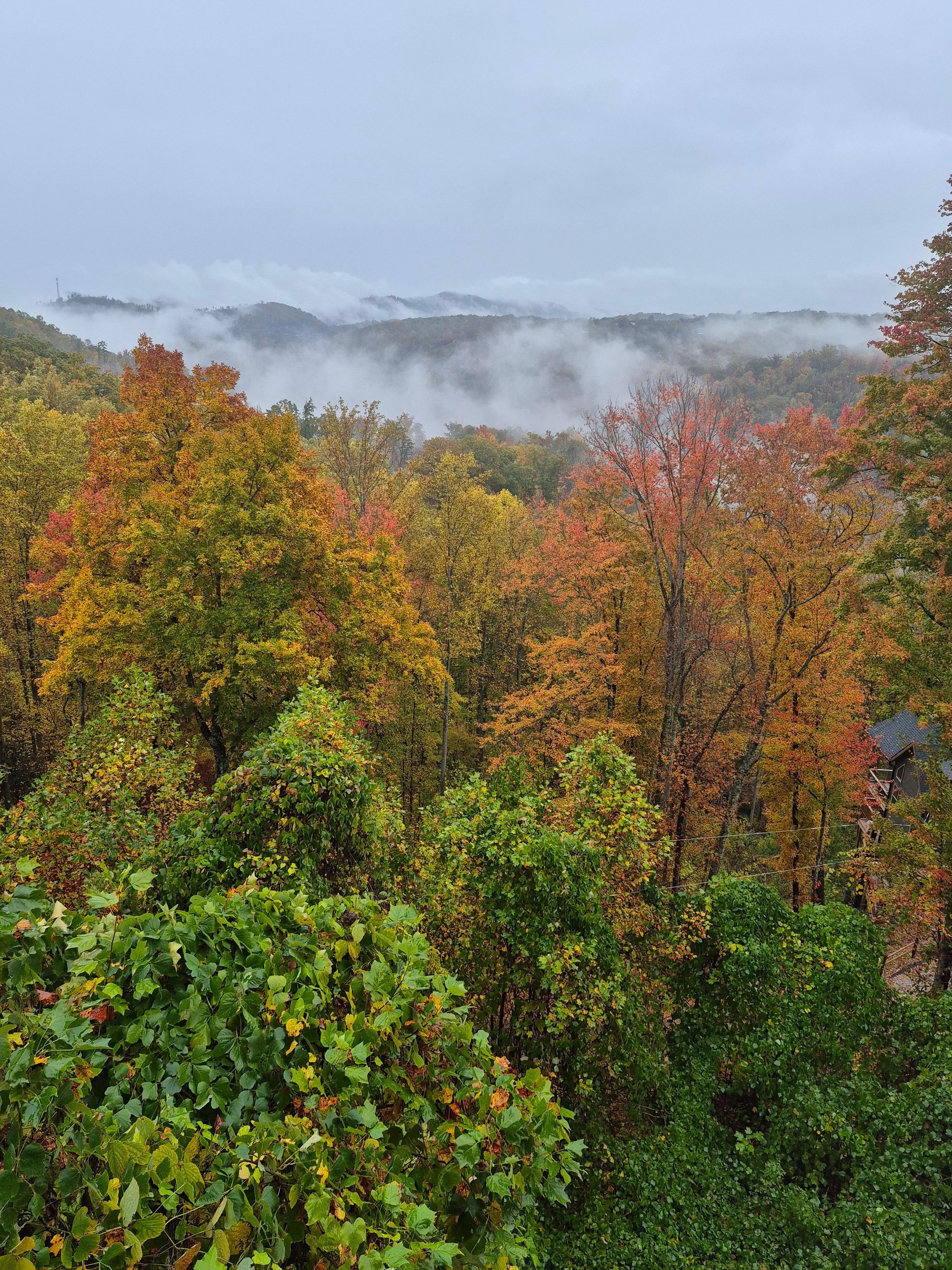 Lower deck view late October 