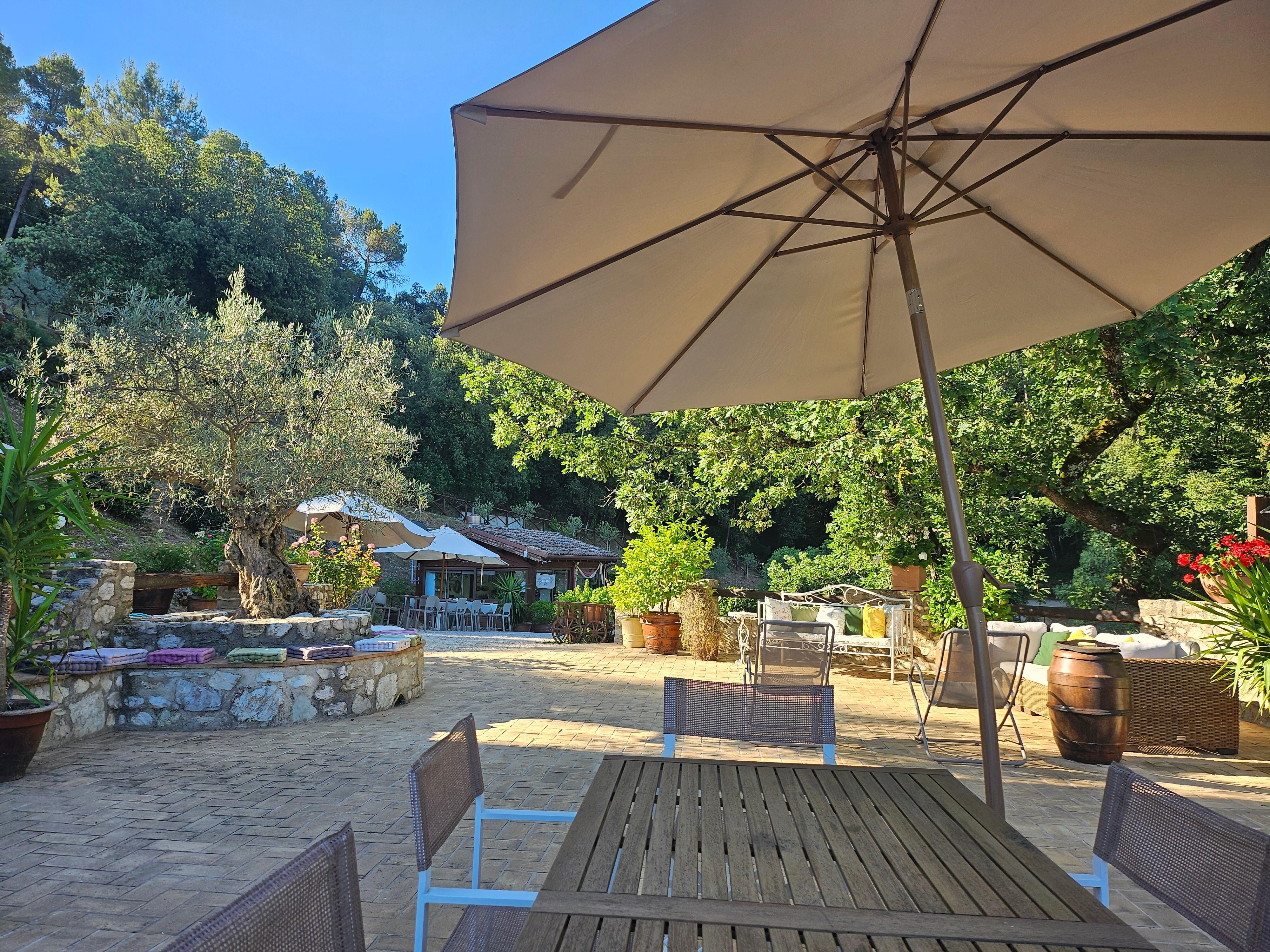 Terras