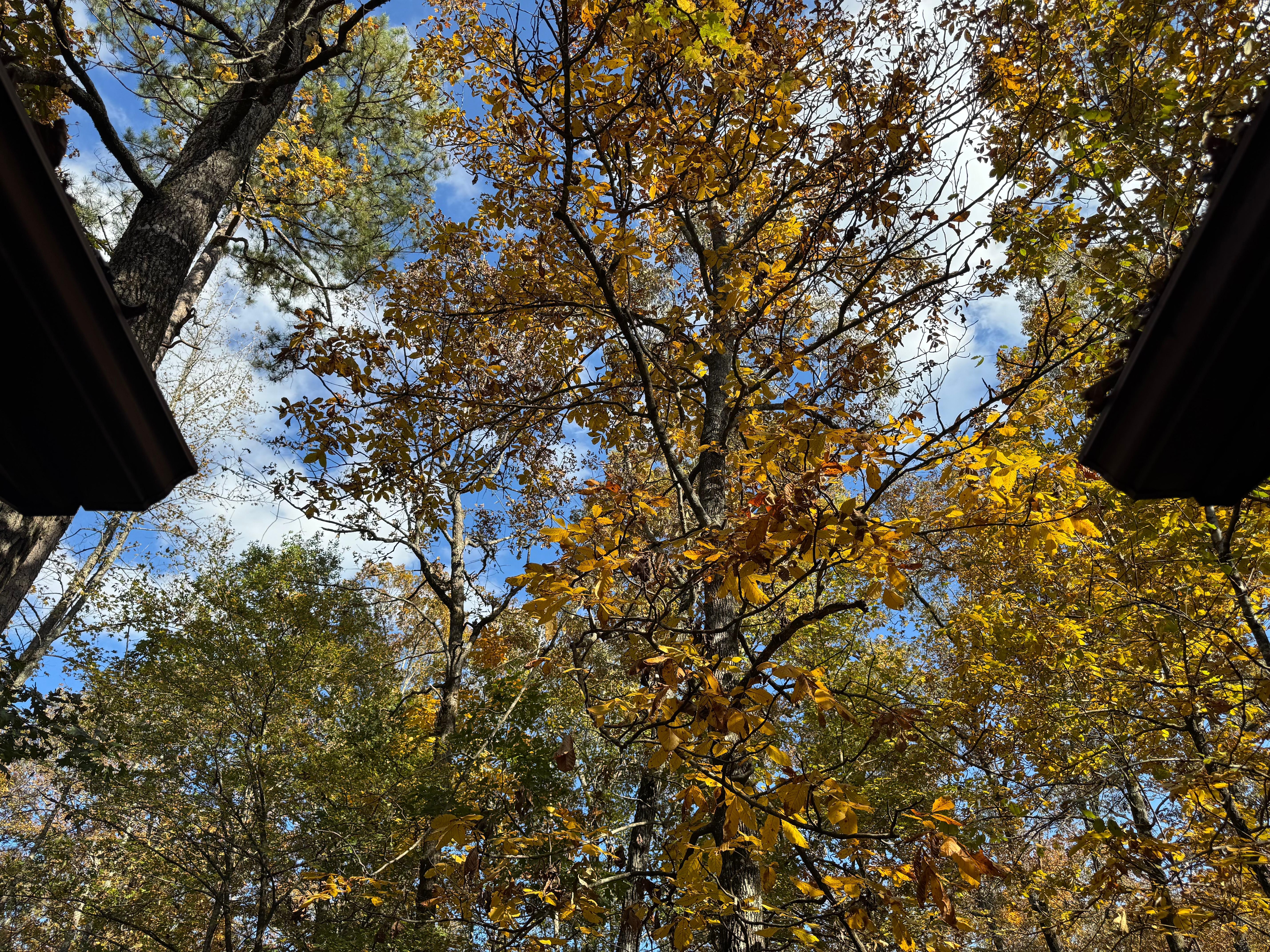 My beautiful view on back porch. Sadly this was the only pic I took as we stayed off our electronics for our stay!