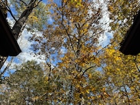 My beautiful view on back porch. Sadly this was the only pic I took as we stayed off our electronics for our stay!