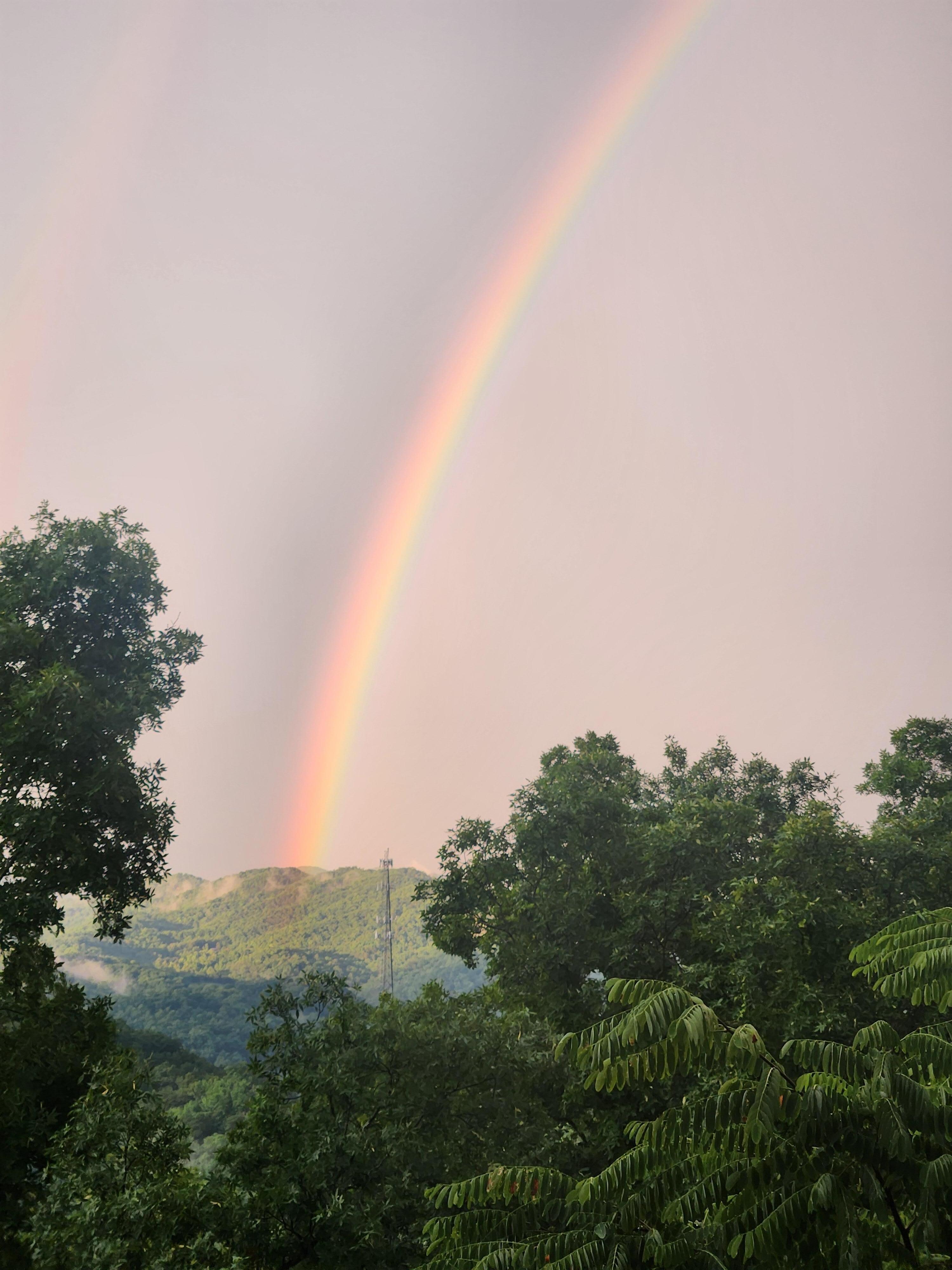Perfect rainbow view after a storm on our 2nd night in the cabin.