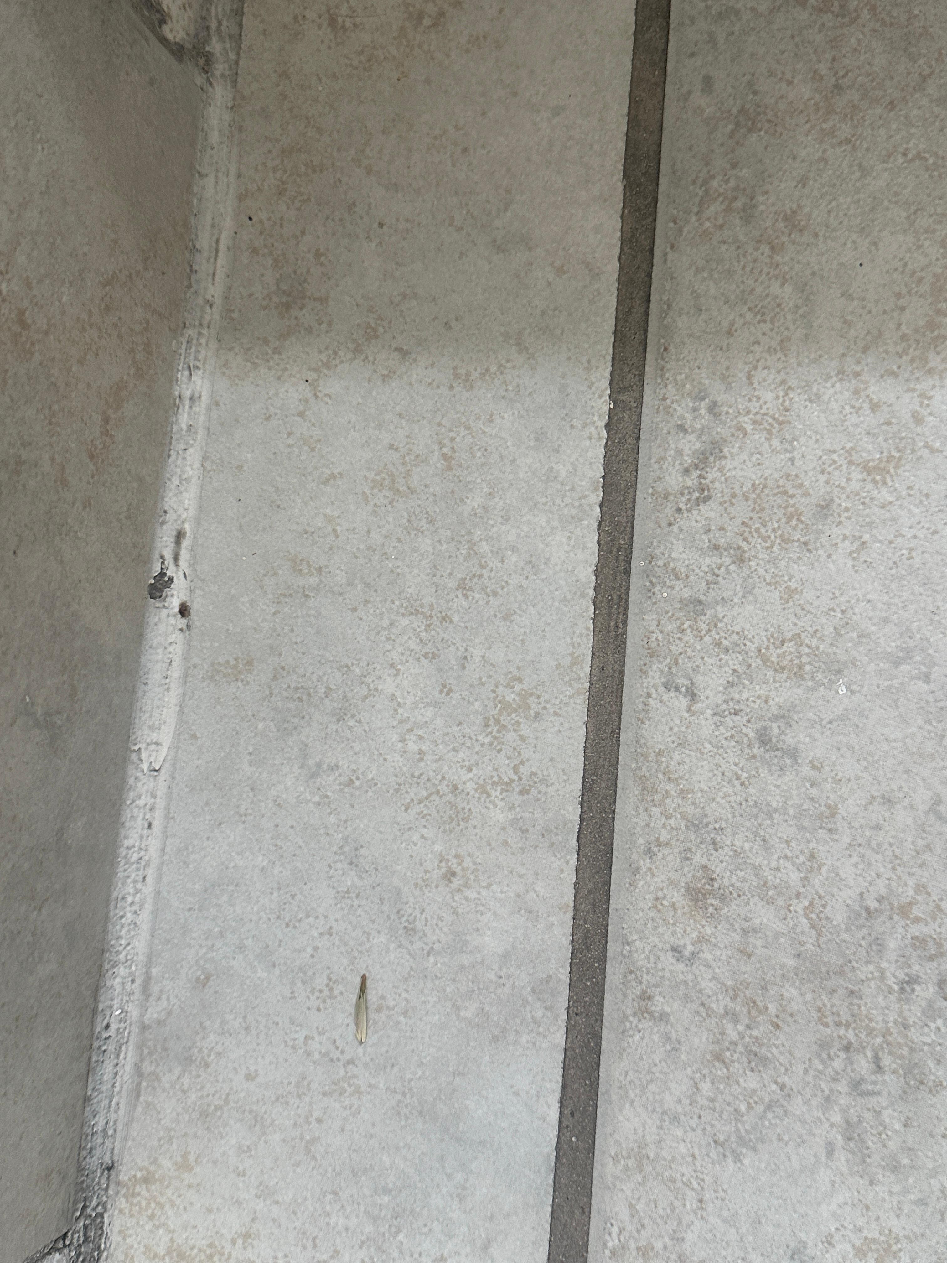 Dirty on the floor