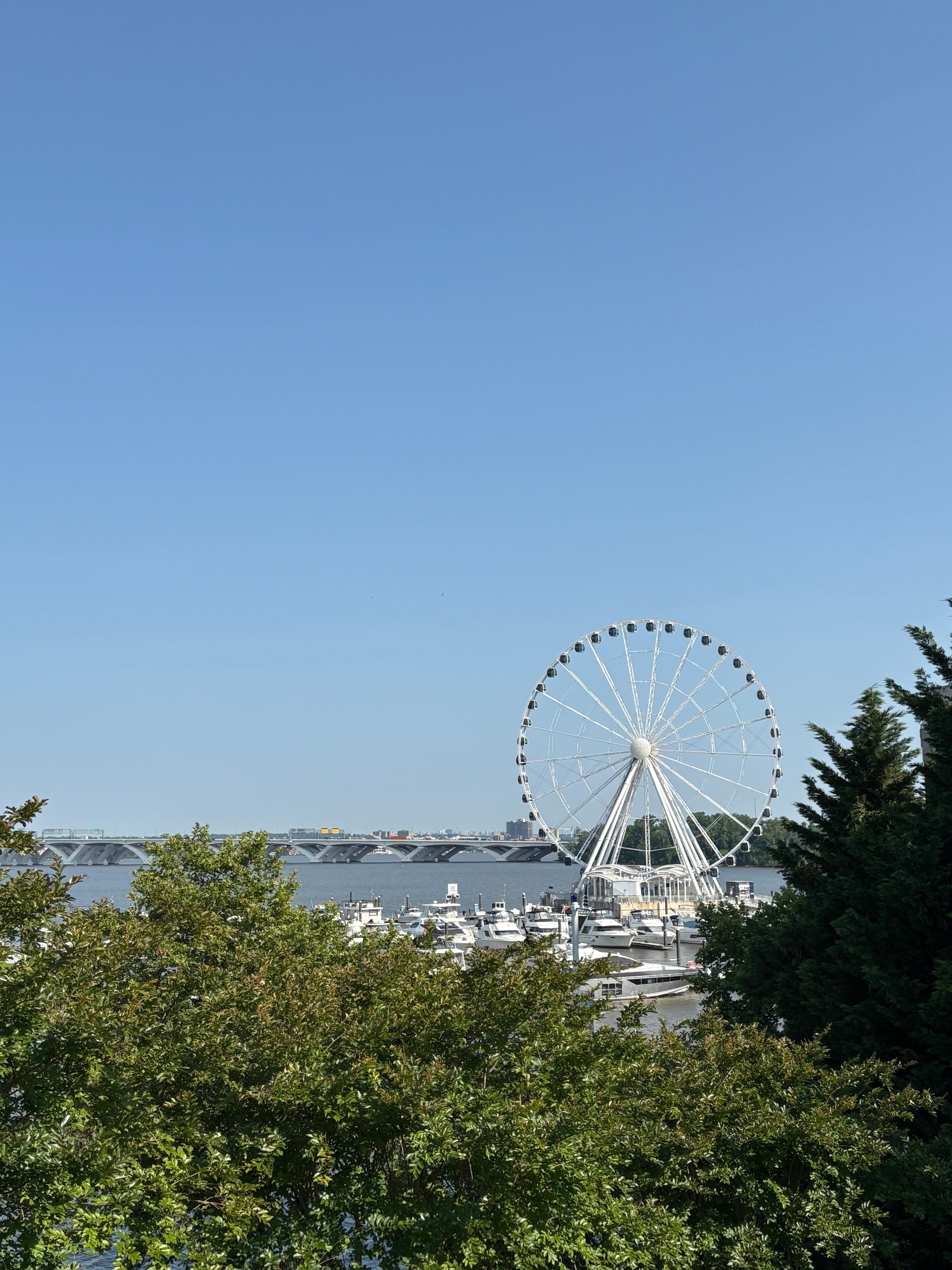 View from the harbor.