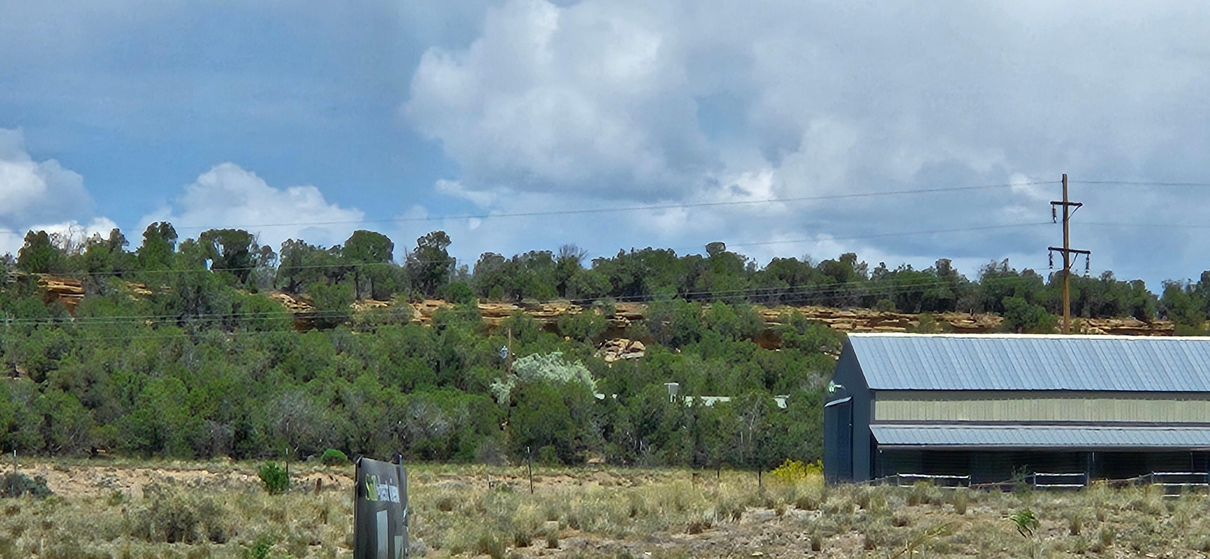 Bluffs of Phil's World trails (Lemonhead Loop) from front porch